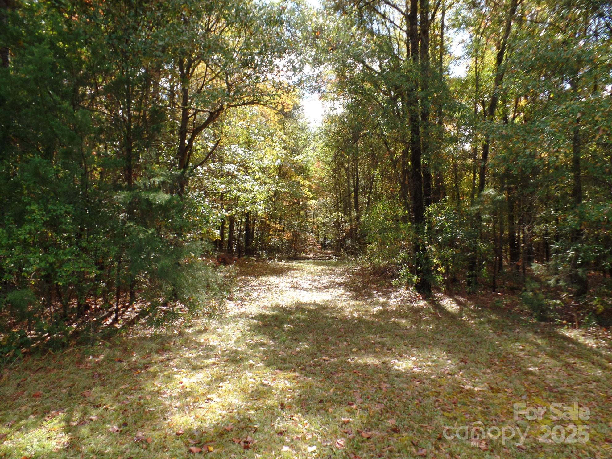 00 Mt Holly-huntersville Road Property Photo 12