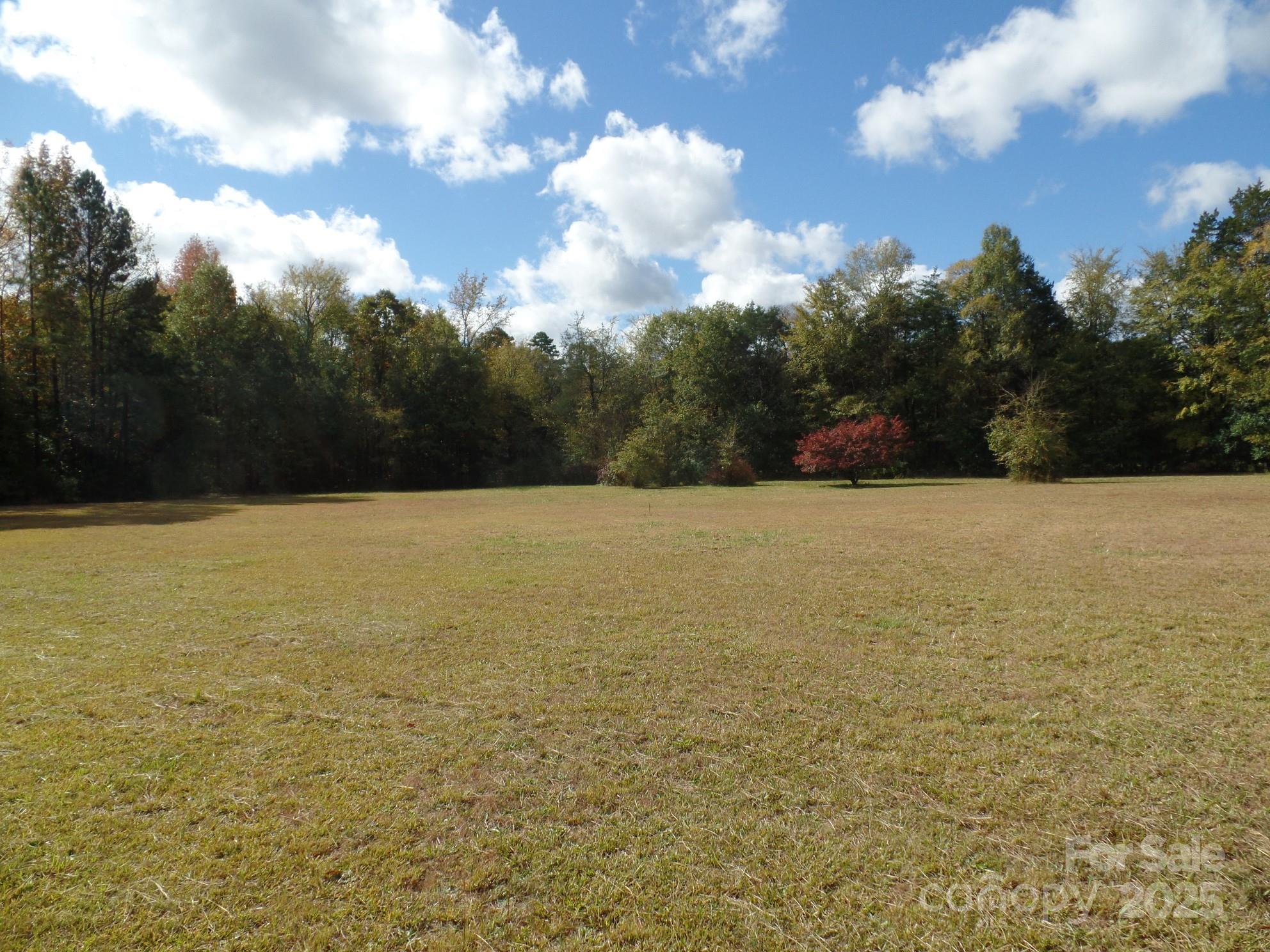 00 Mt Holly-huntersville Road Property Photo 16