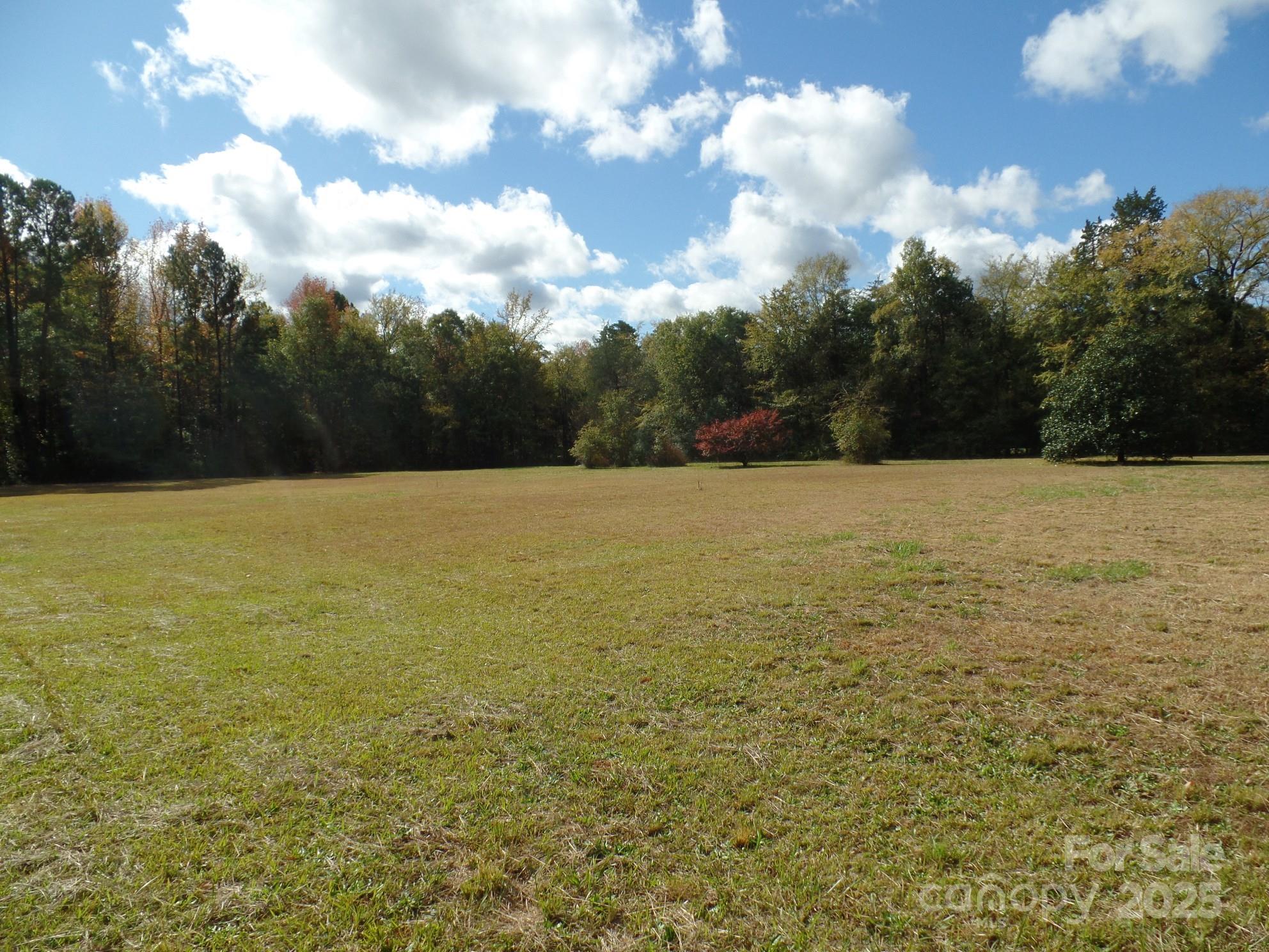 00 Mt Holly-huntersville Road Property Photo 17