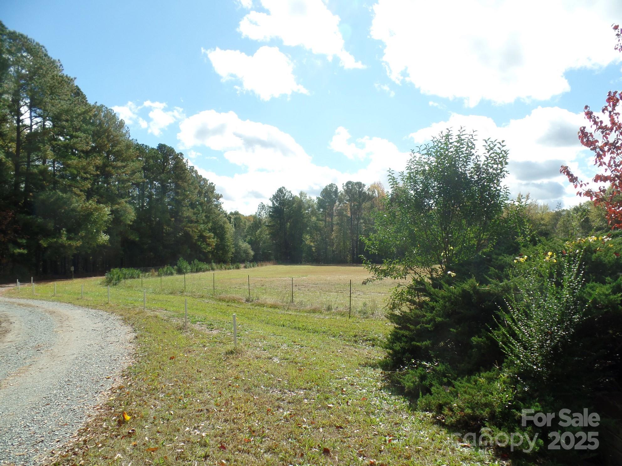 00 Mt Holly-huntersville Road Property Photo 21