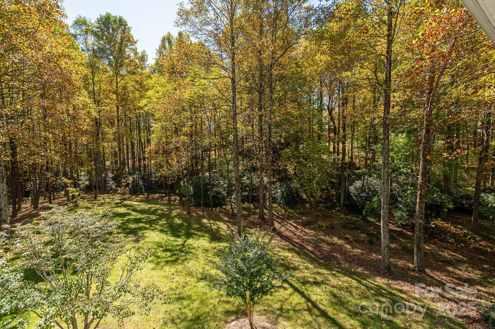 115 Chancery Court Property Photo 38