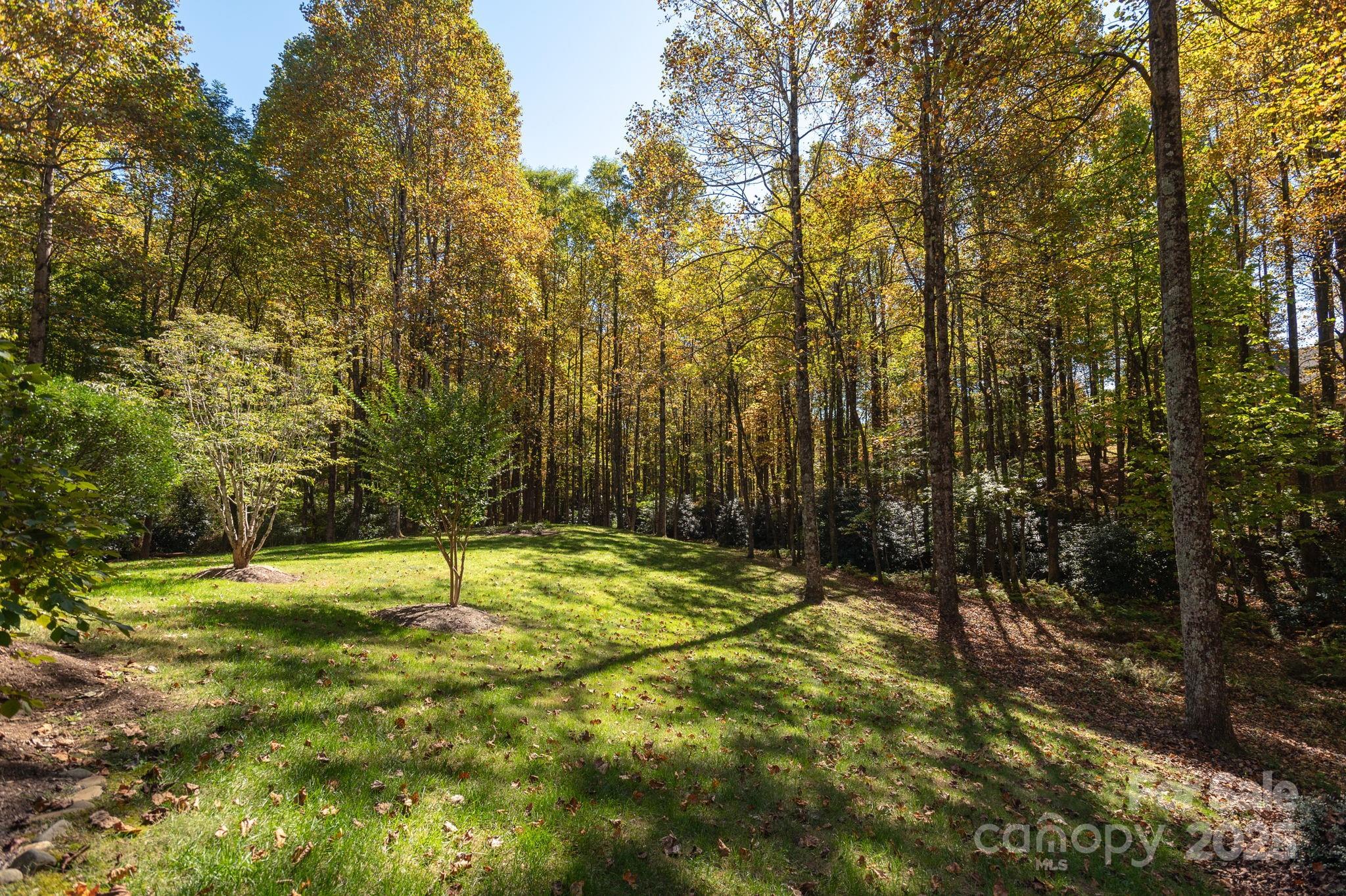115 Chancery Court Property Photo 39
