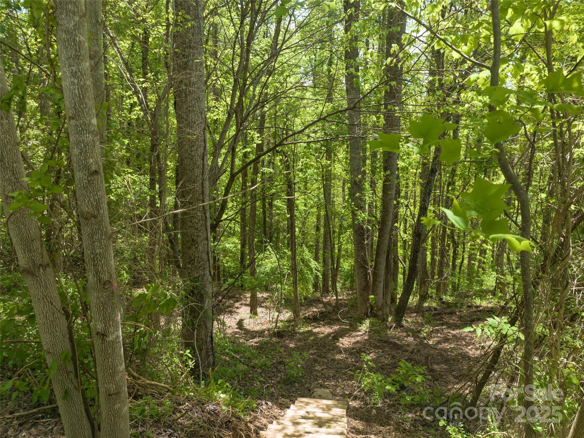 26 Fall Mountain Road 58 Property Photo 4