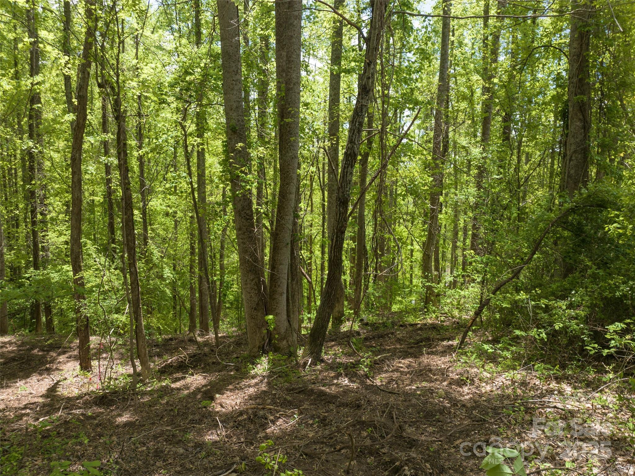 26 Fall Mountain Road 58 Property Photo 5