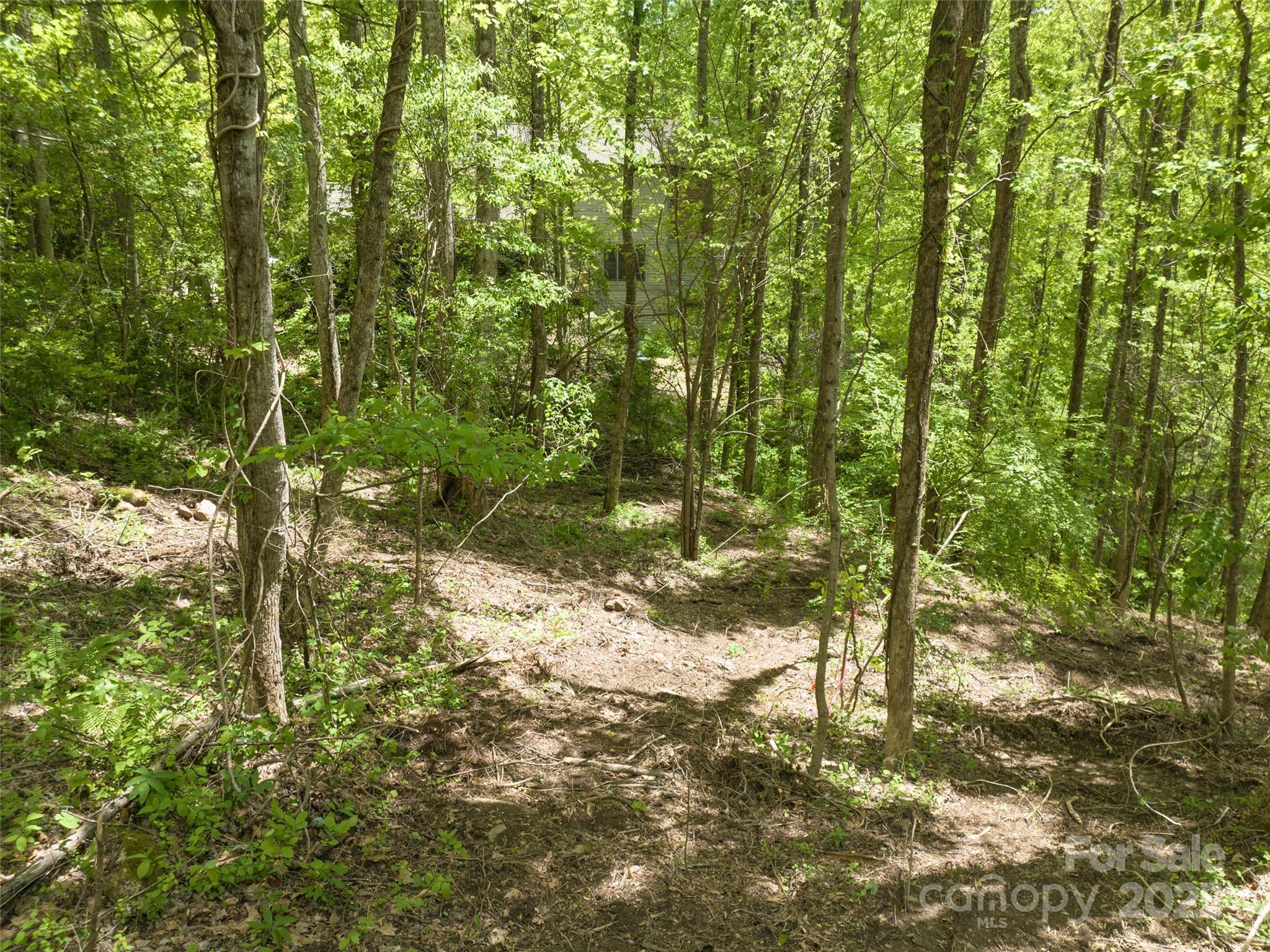 26 Fall Mountain Road 58 Property Photo 6