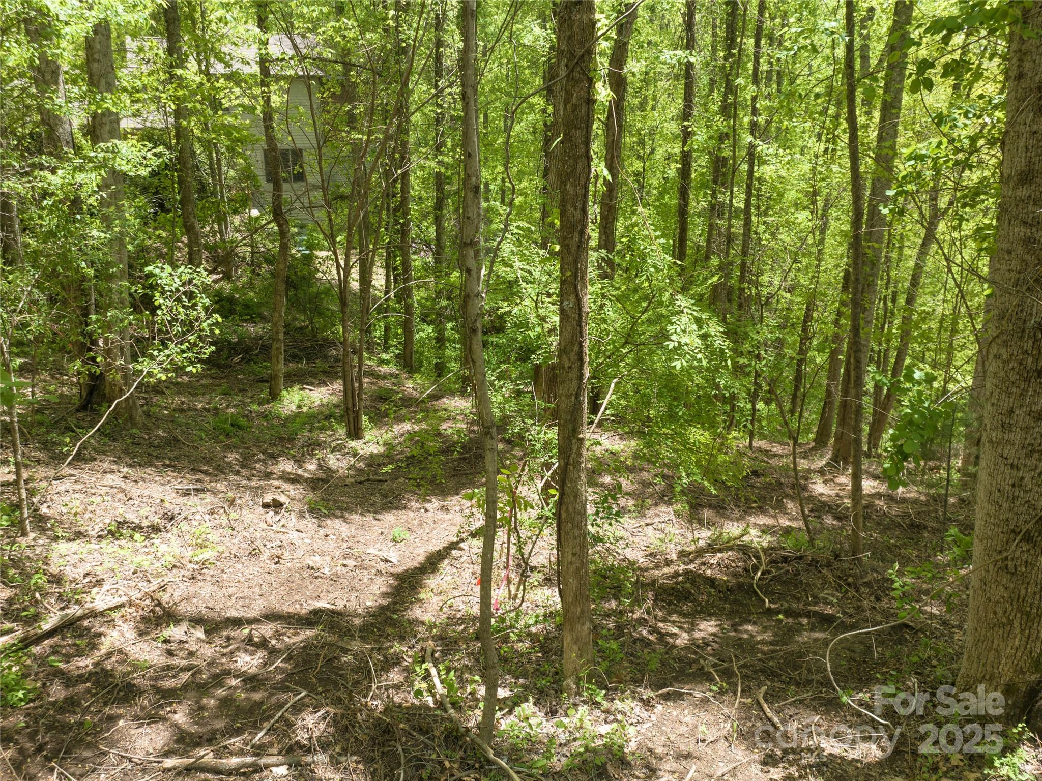 26 Fall Mountain Road 58 Property Photo 7