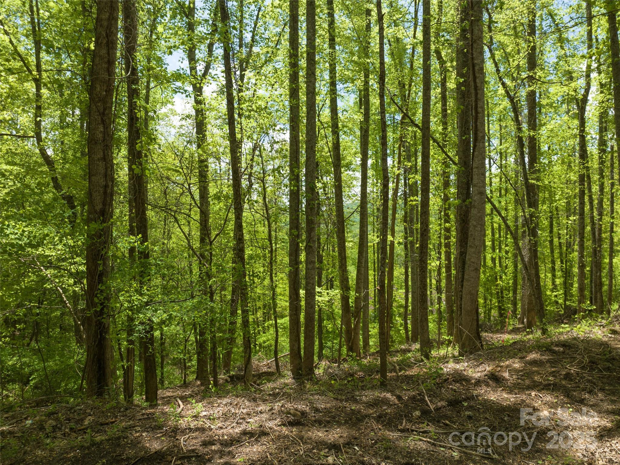 26 Fall Mountain Road 58 Property Photo 8