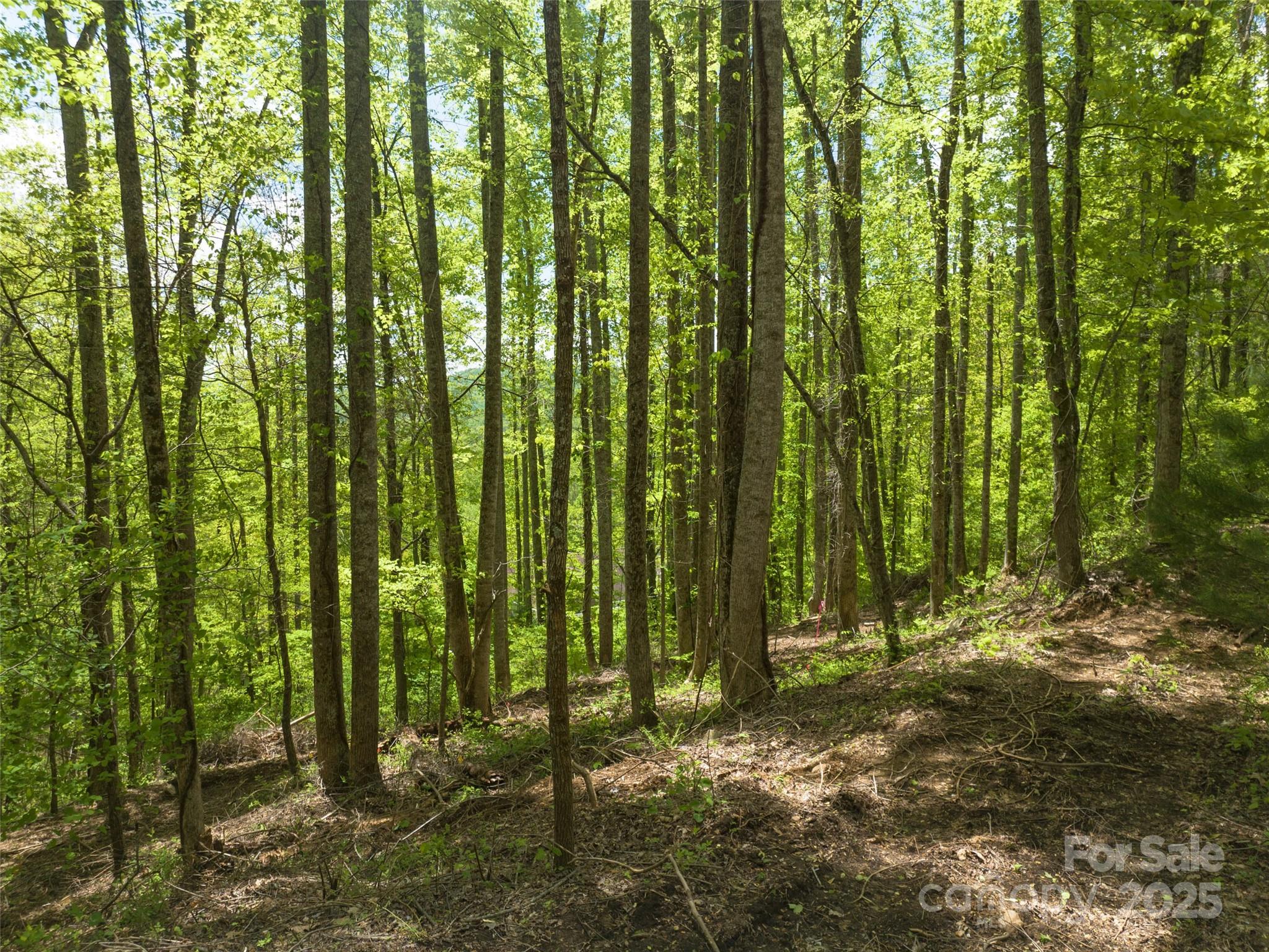 26 Fall Mountain Road 58 Property Photo 9