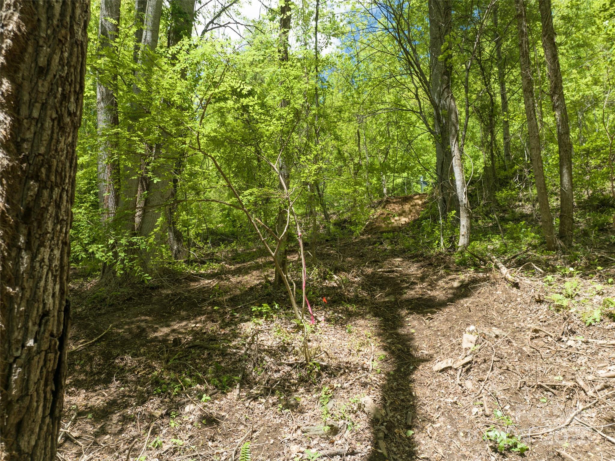 26 Fall Mountain Road 58 Property Photo 10