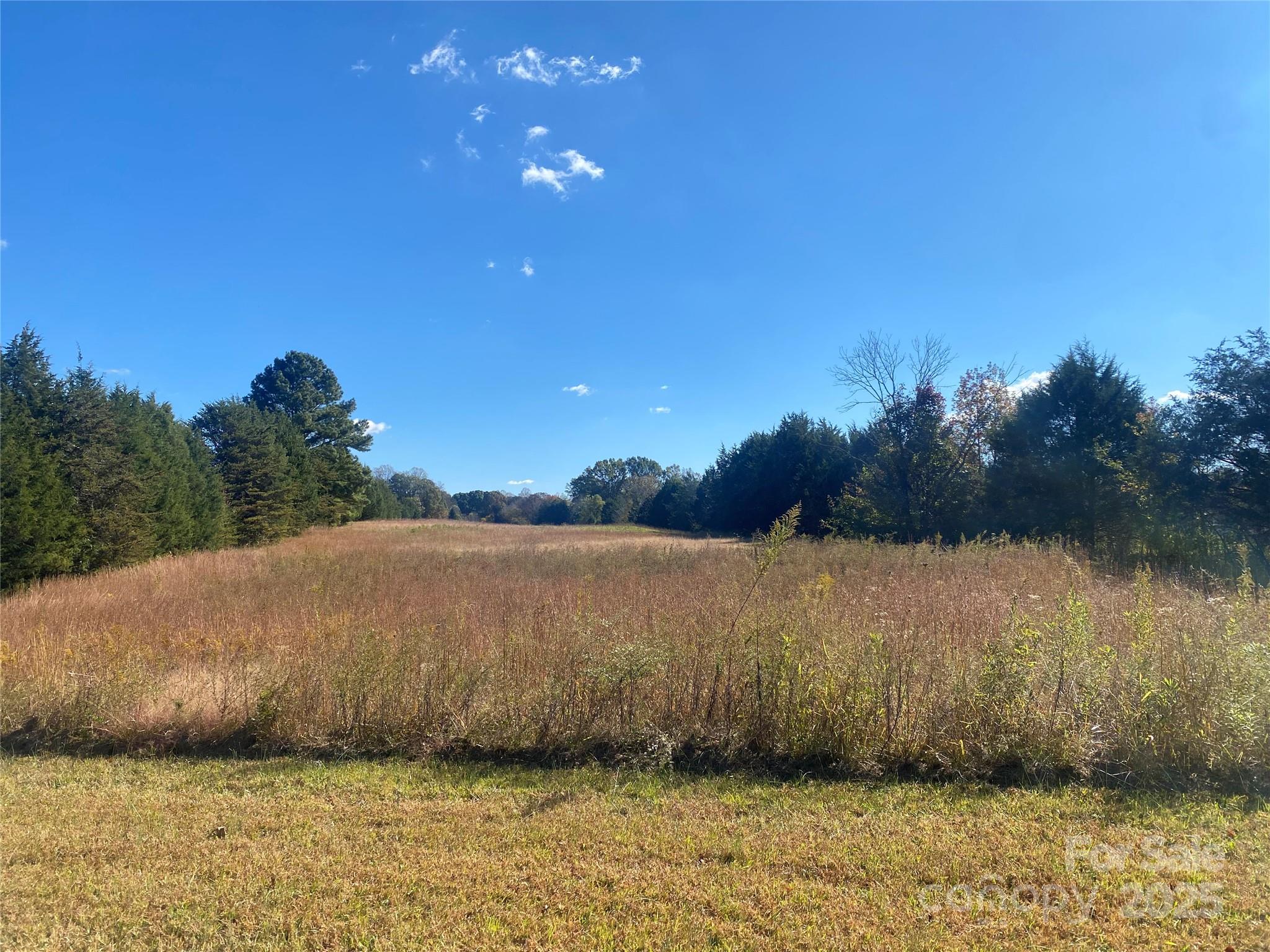 0 Cooper Farm Road 2 Property Photo 2