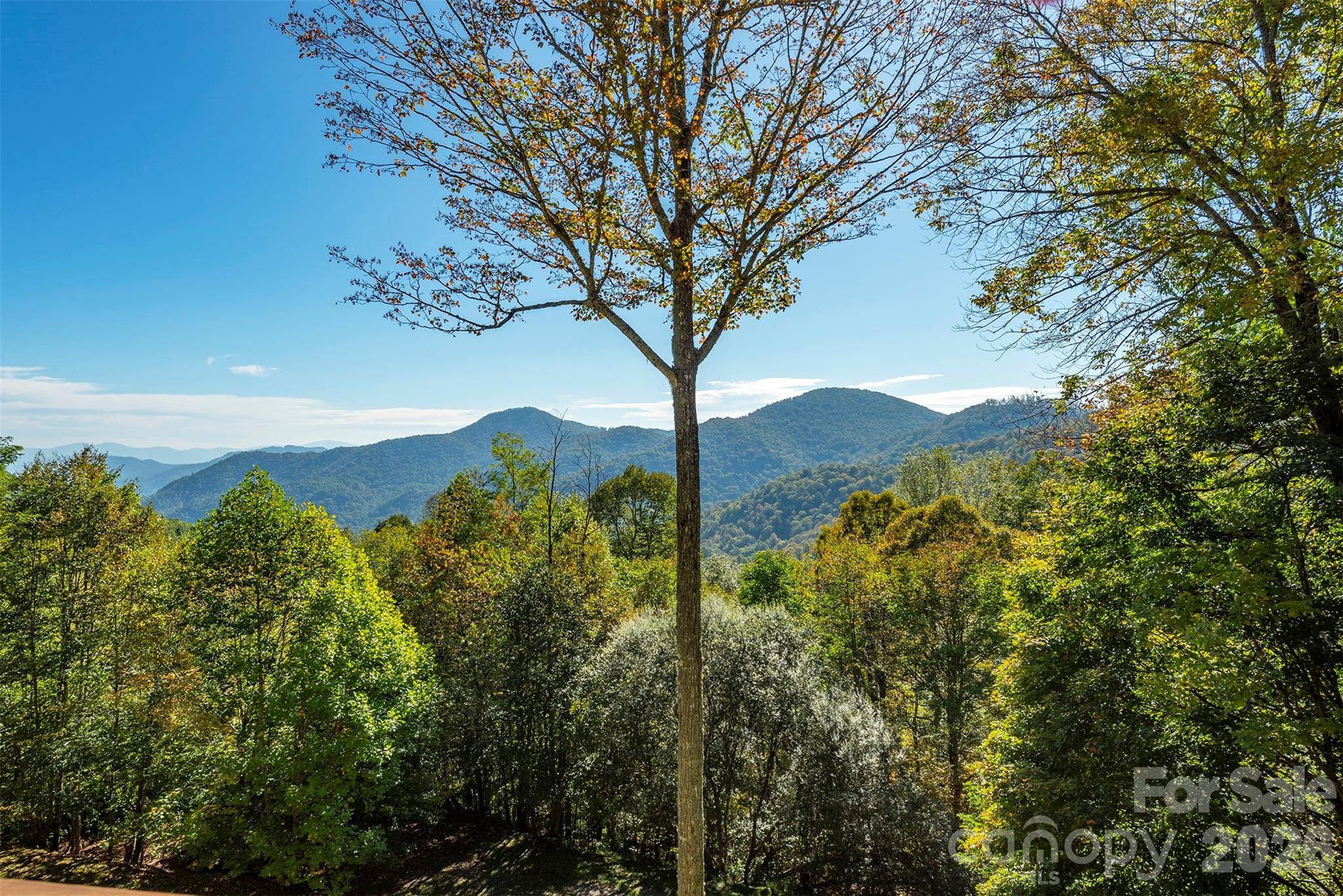 322 Goldenleaf Road Property Photo 14