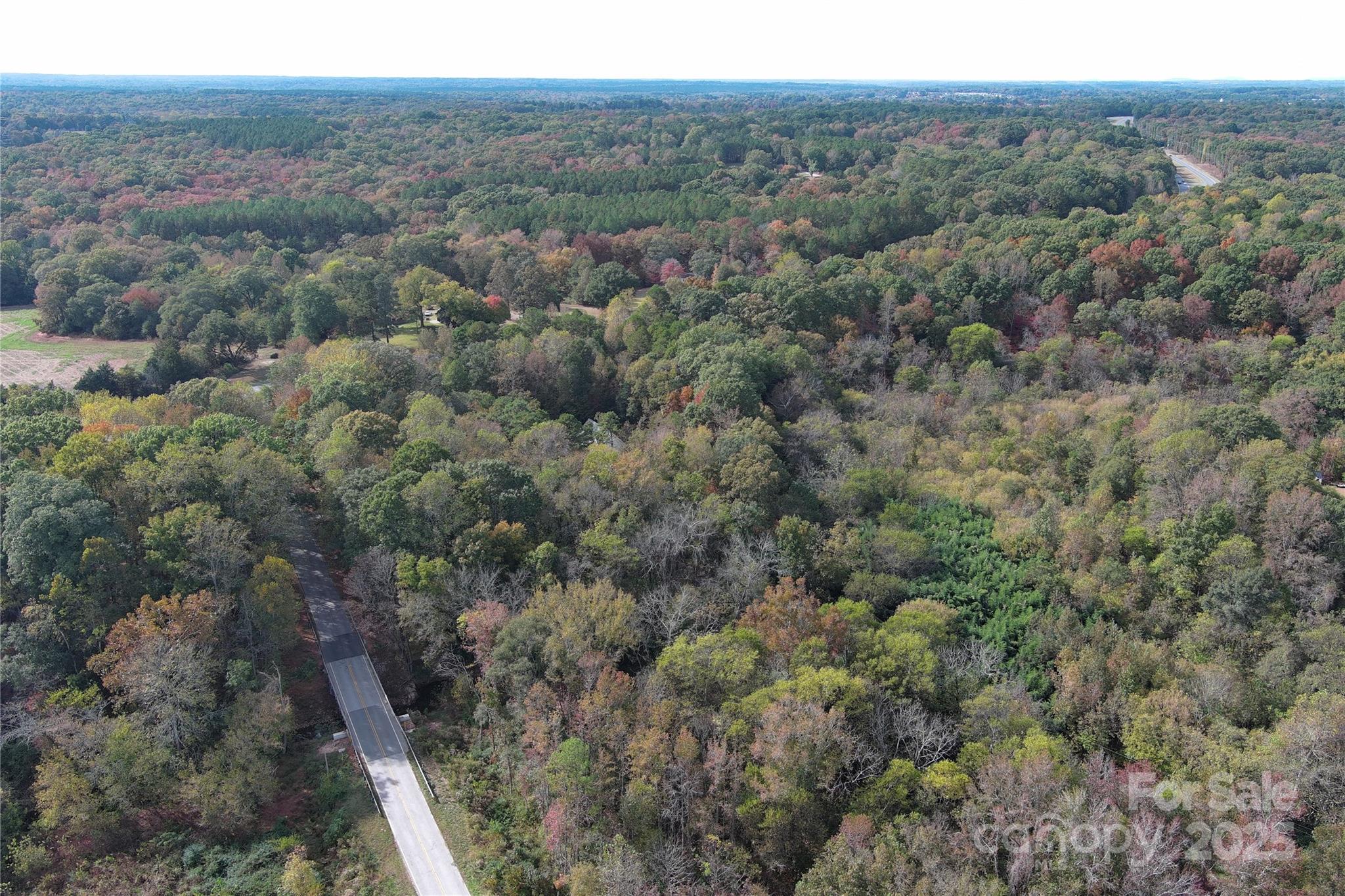0 Charlotte Highway Property Photo 4