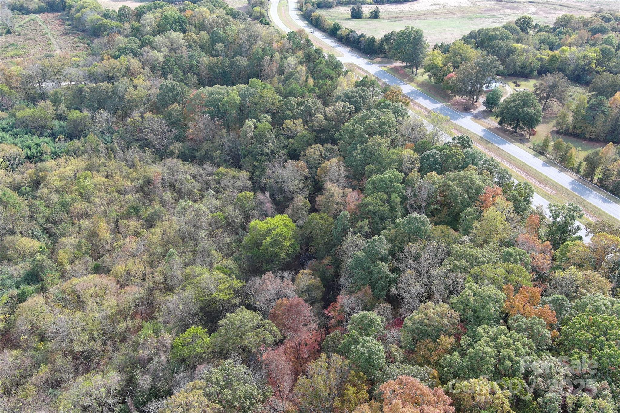 0 Charlotte Highway Property Photo 10