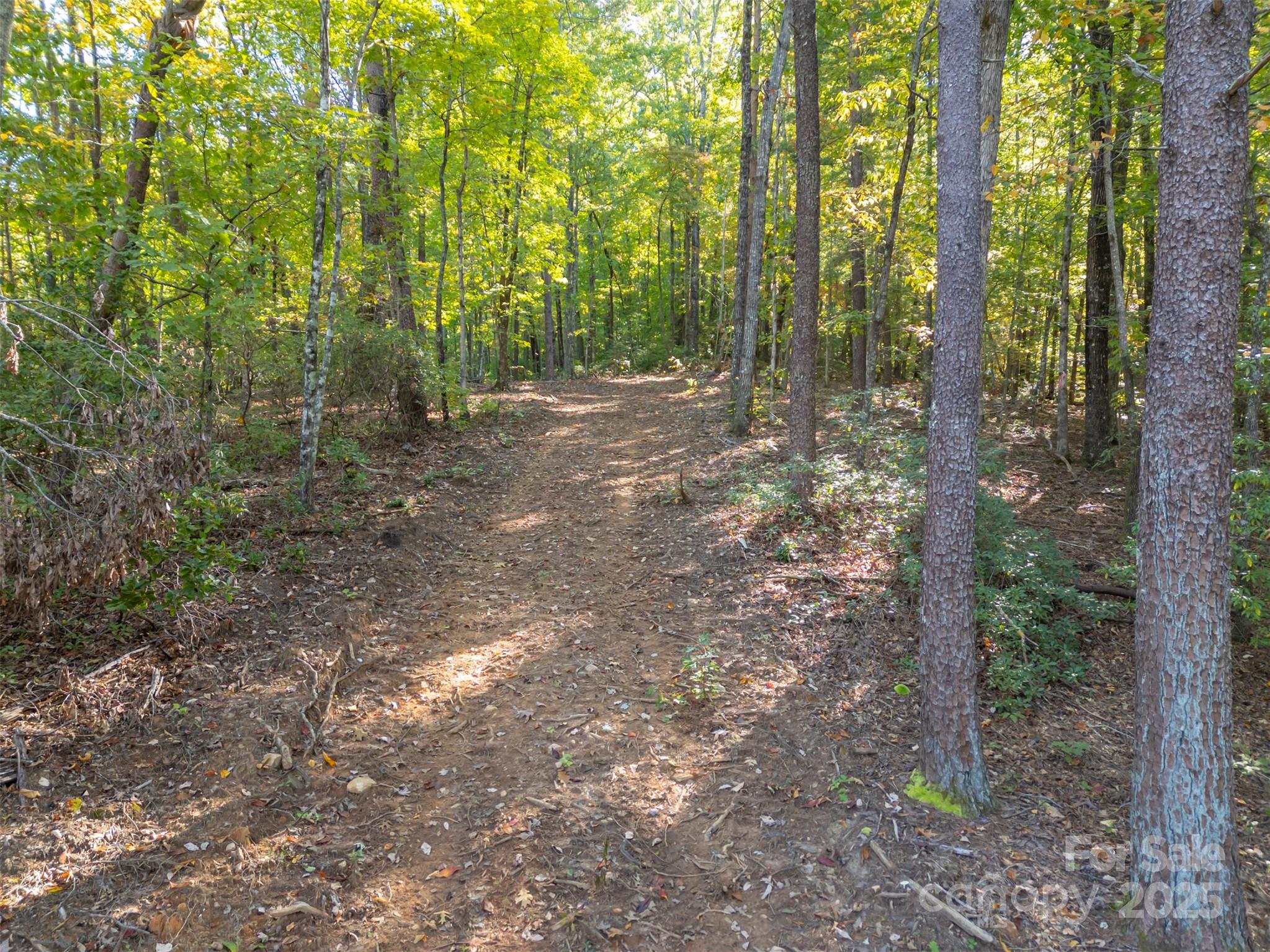 3298 Buffalo Creek Road Property Photo 2
