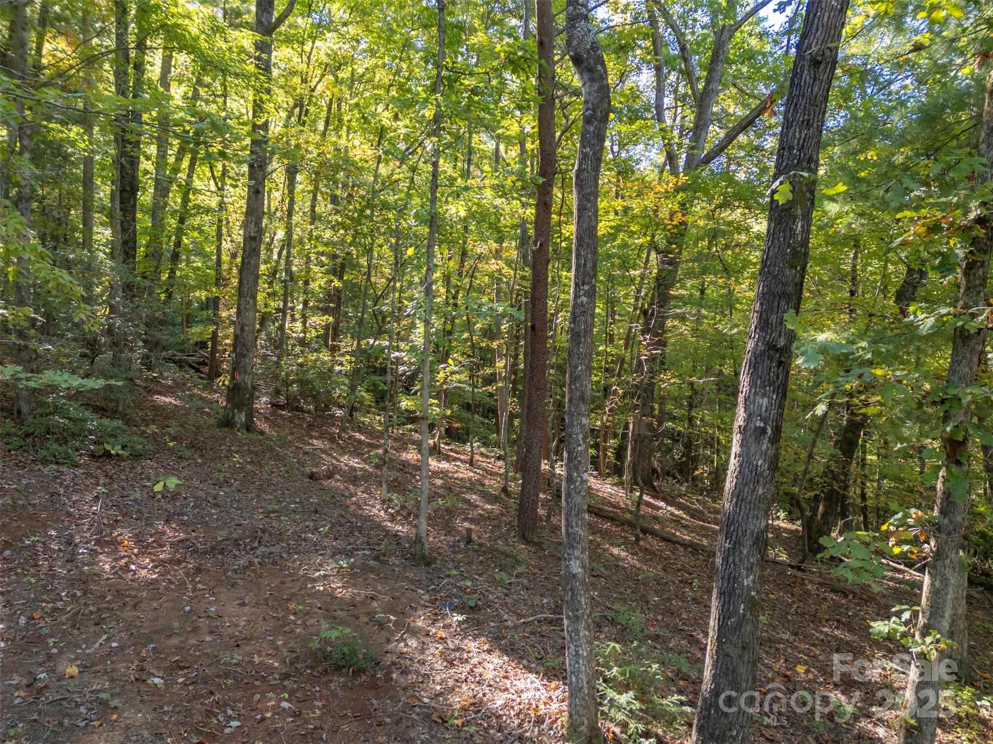 3298 Buffalo Creek Road Property Photo 3