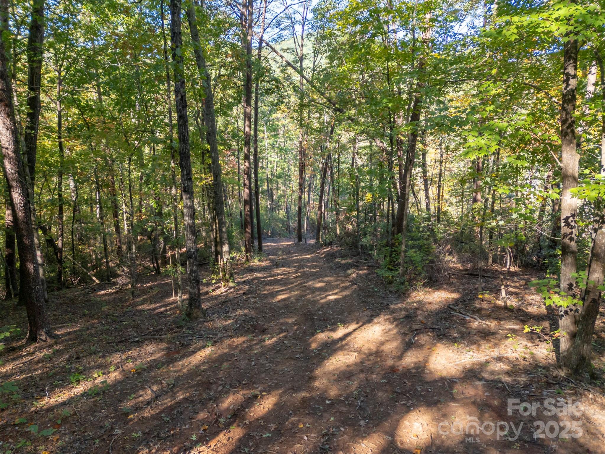 3298 Buffalo Creek Road Property Photo 4