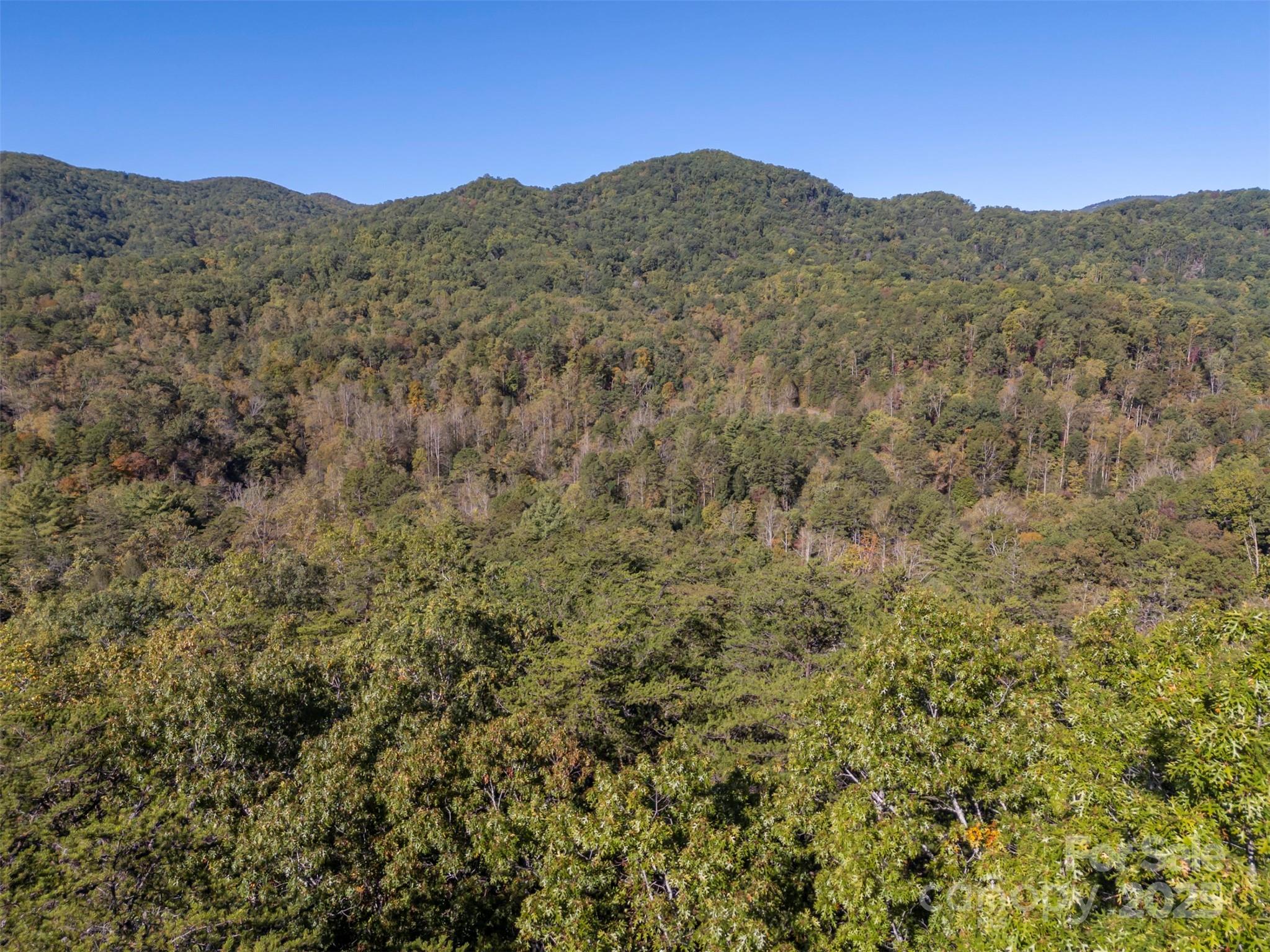 3298 Buffalo Creek Road Property Photo 5