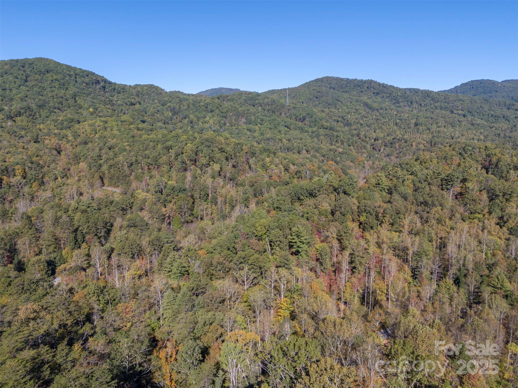 3298 Buffalo Creek Road Property Photo 6
