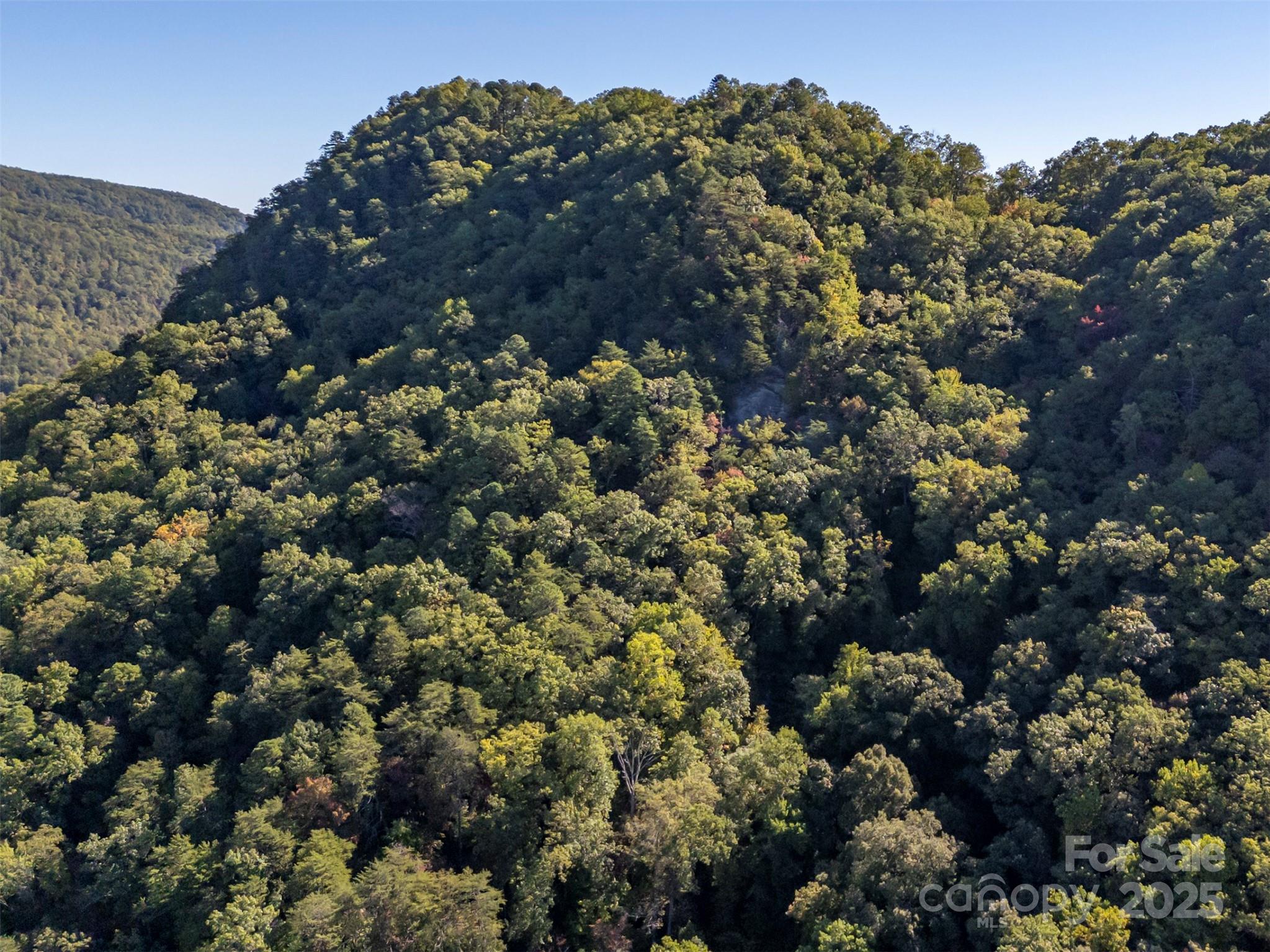 3298 Buffalo Creek Road Property Photo 7