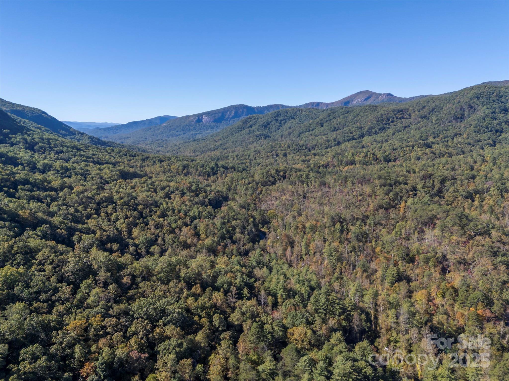 3298 Buffalo Creek Road Property Photo 8