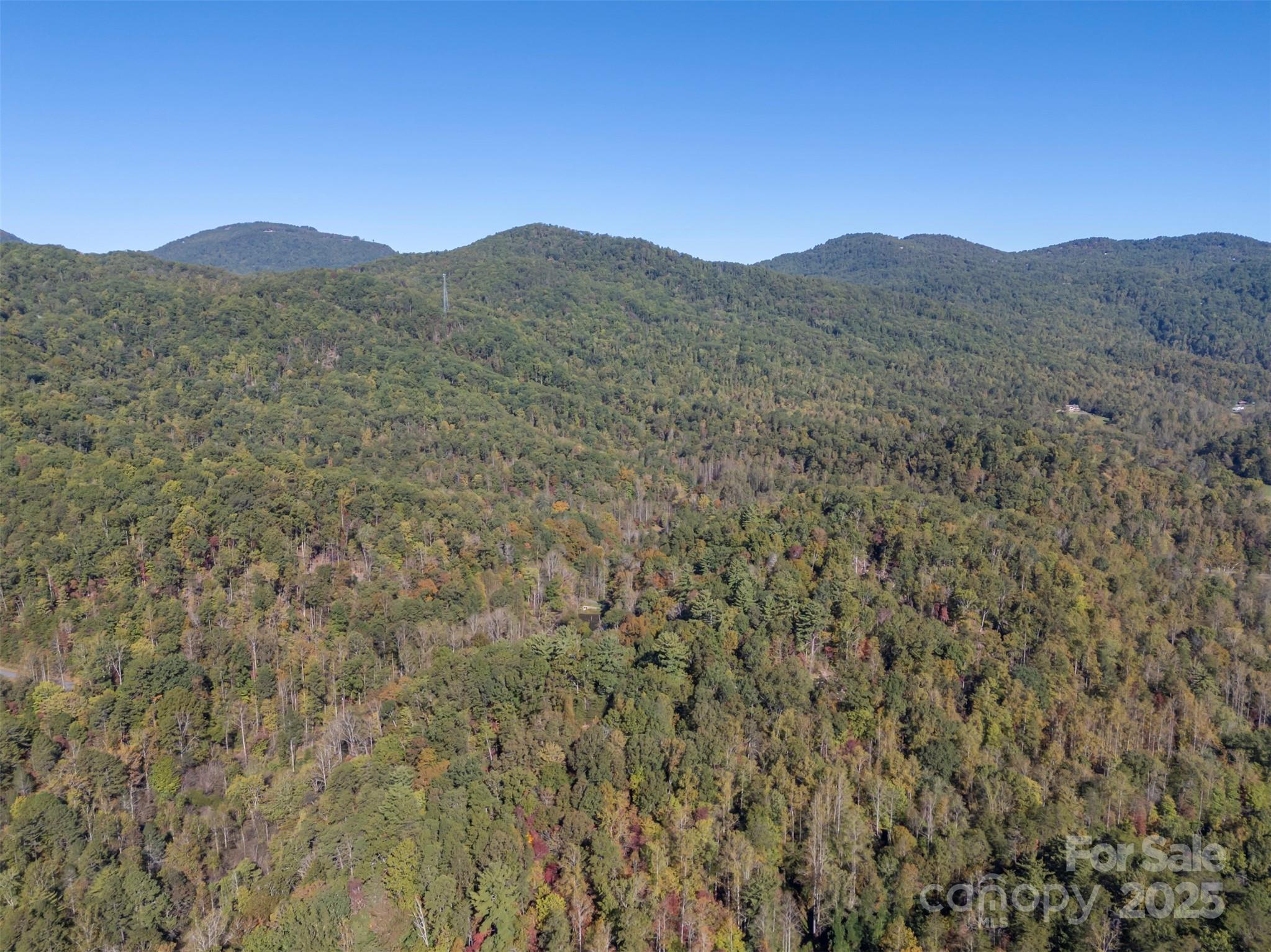 3298 Buffalo Creek Road Property Photo 9