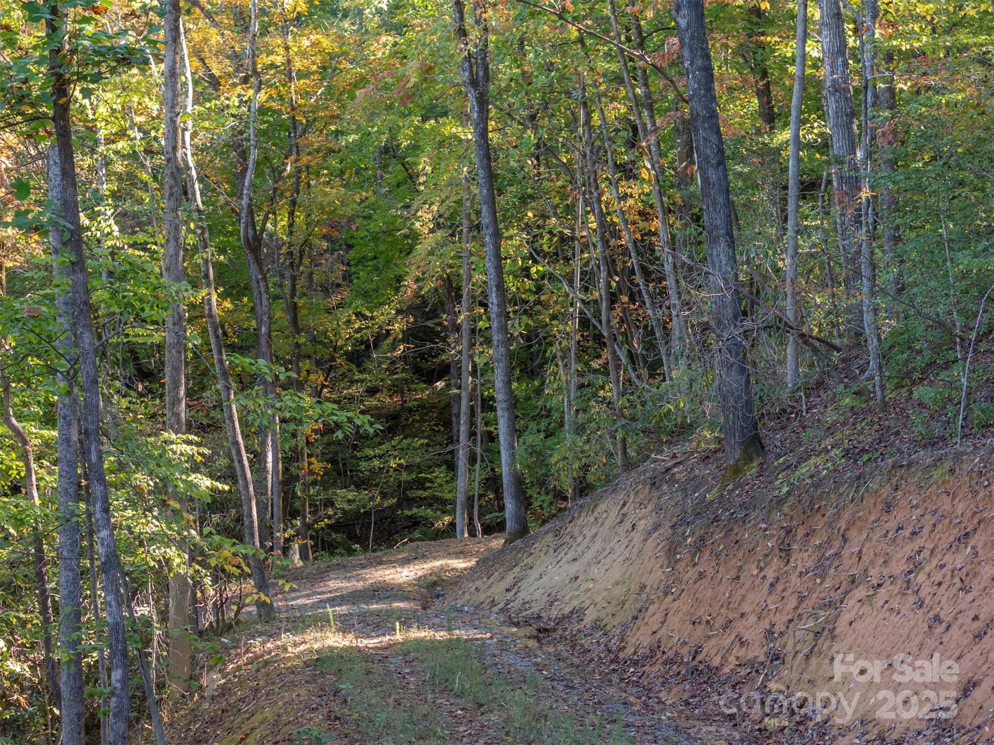 3298 Buffalo Creek Road Property Photo 10