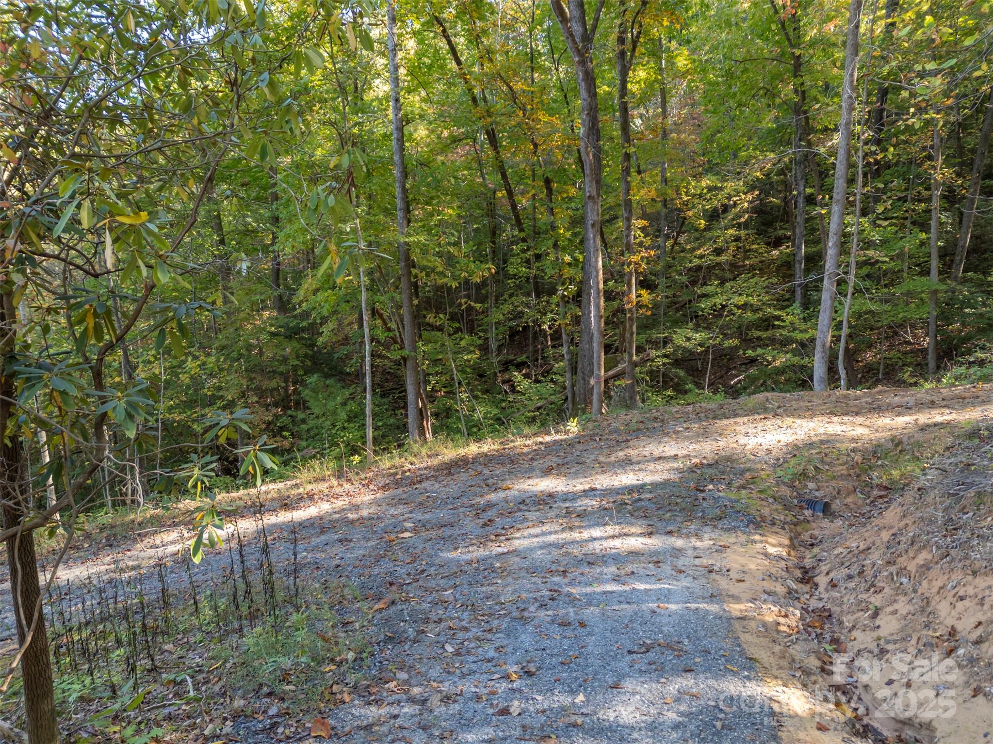 3298 Buffalo Creek Road Property Photo 12