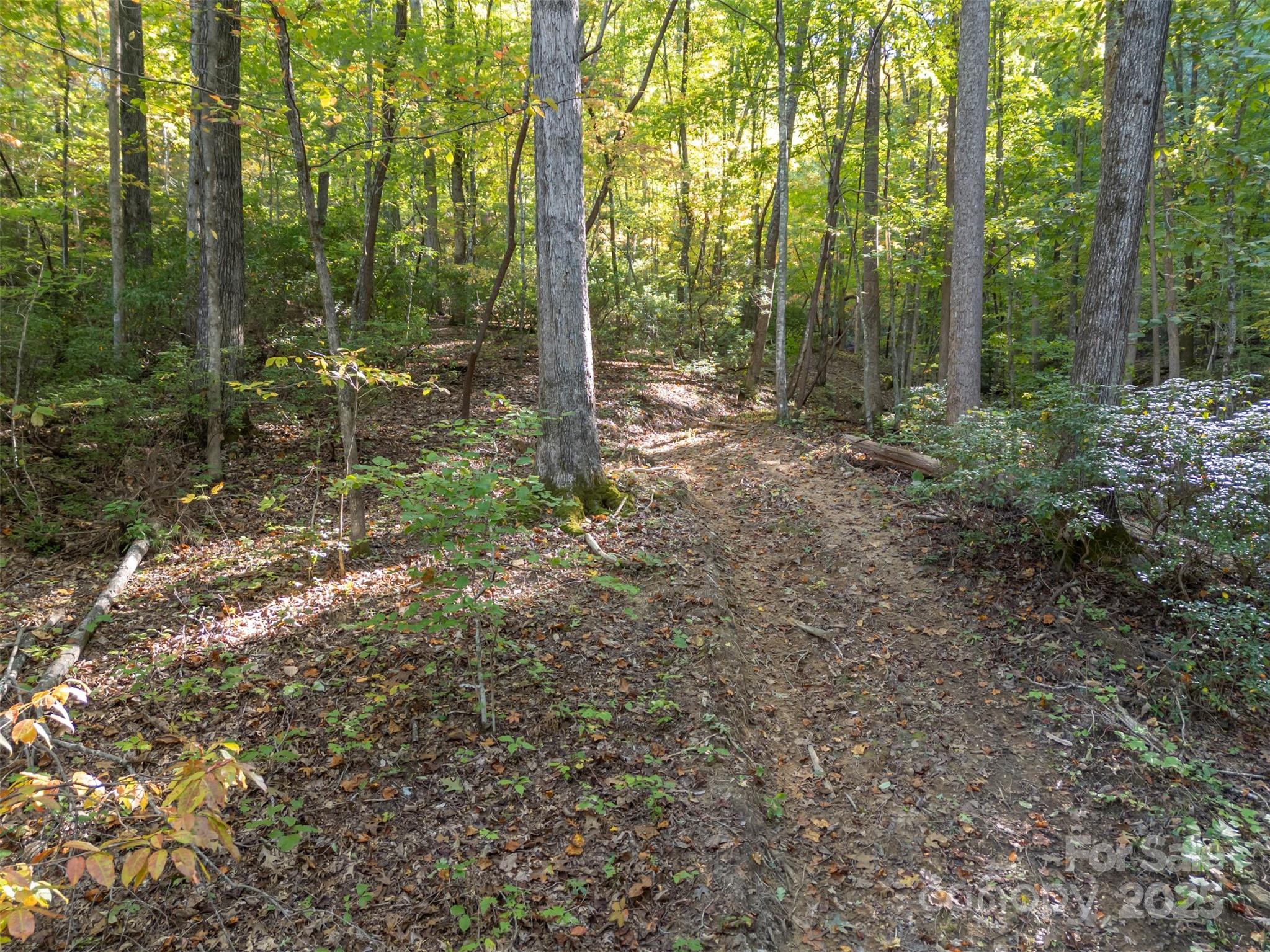 3298 Buffalo Creek Road Property Photo 13
