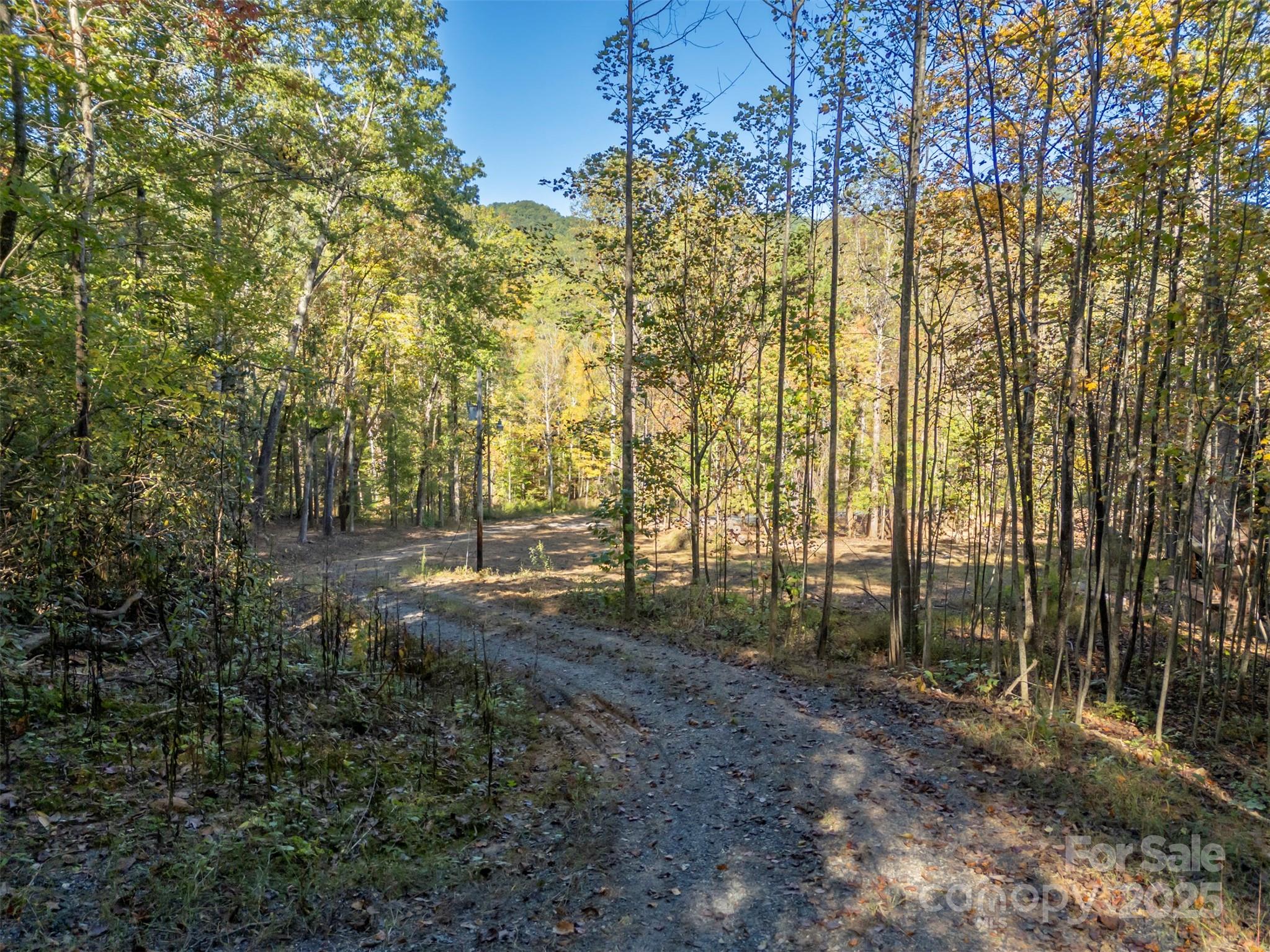 3298 Buffalo Creek Road Property Photo 14