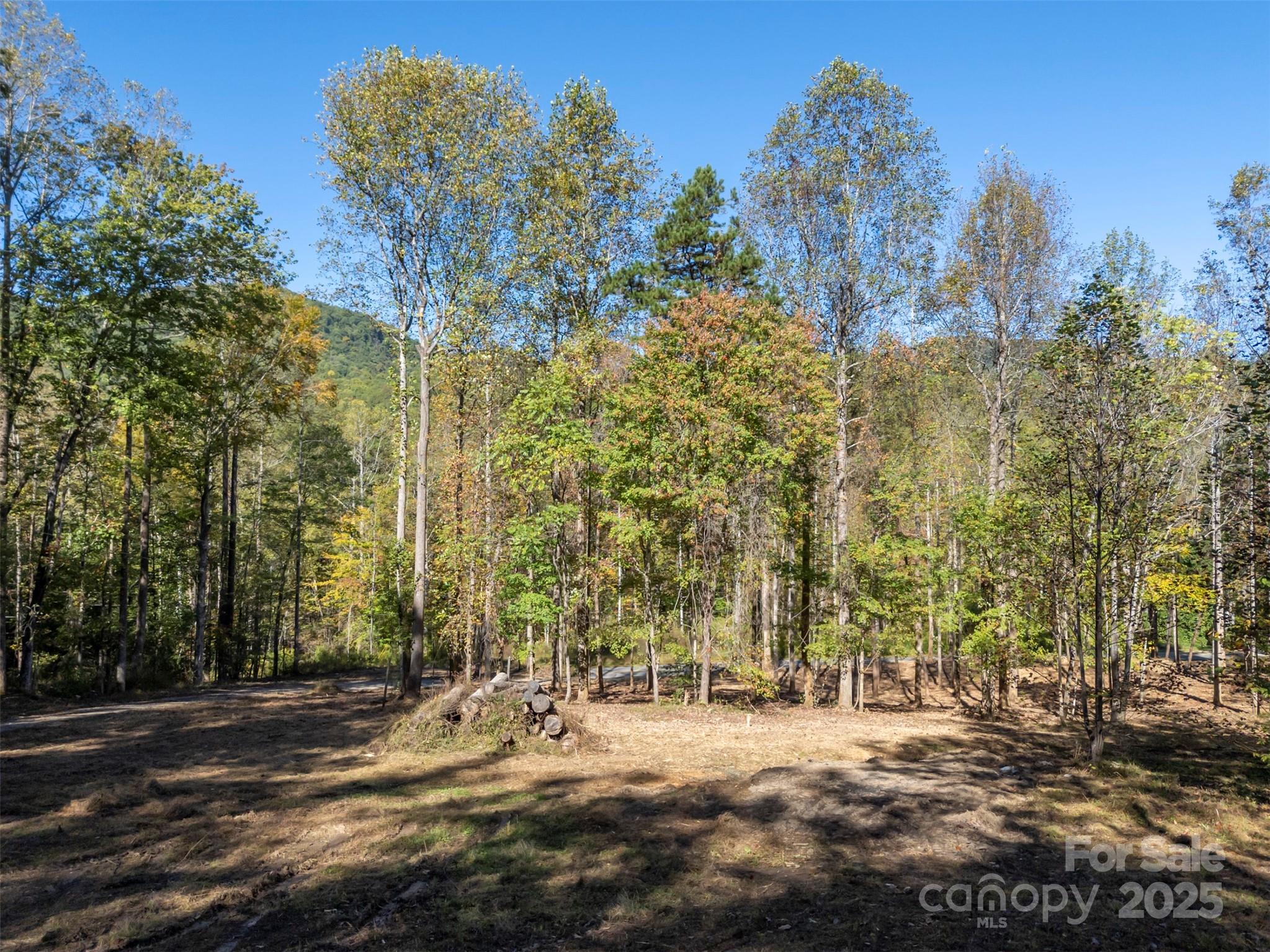 3298 Buffalo Creek Road Property Photo 16