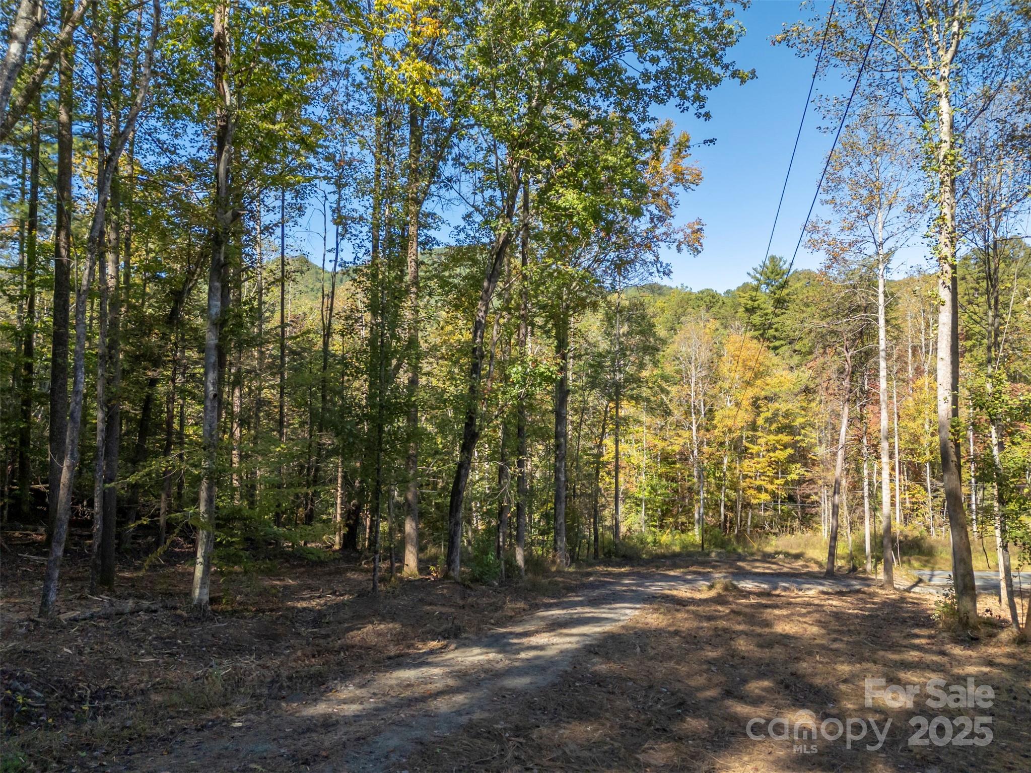 3298 Buffalo Creek Road Property Photo 17