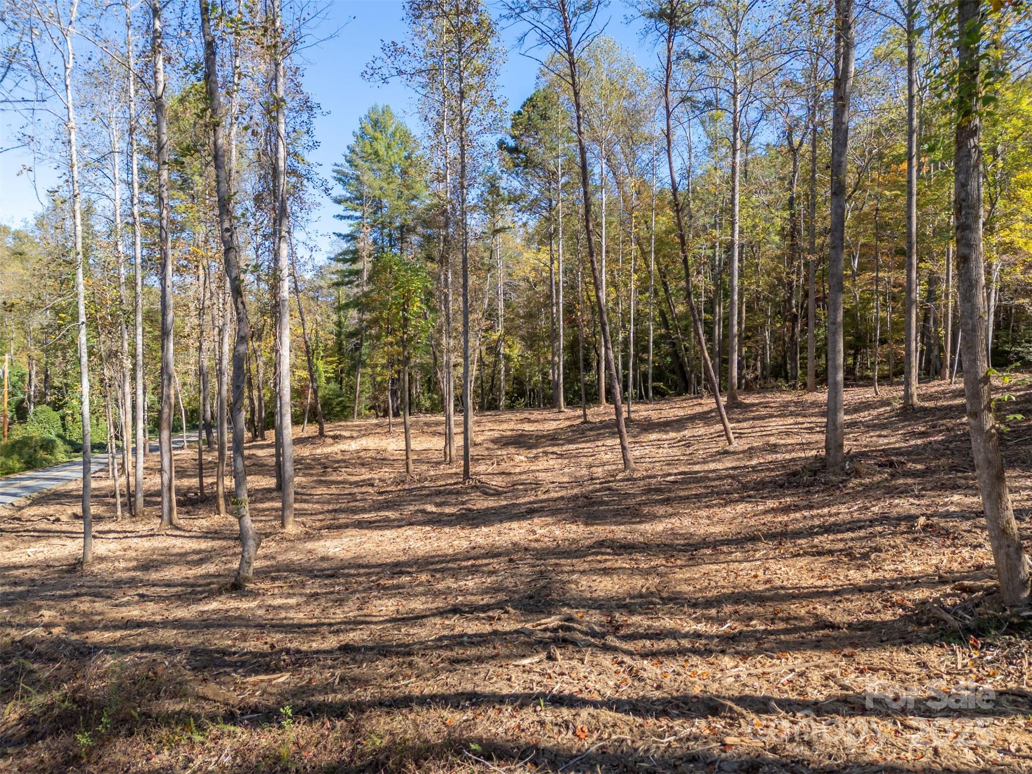 3298 Buffalo Creek Road Property Photo 19