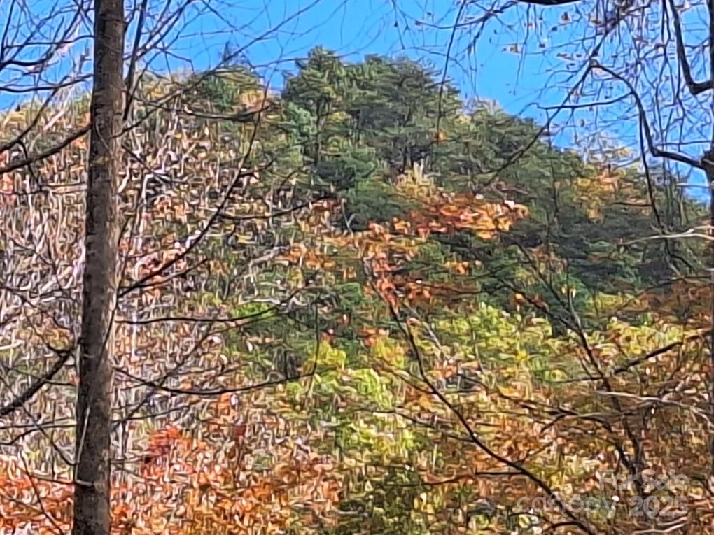 3298 Buffalo Creek Road Property Photo 20