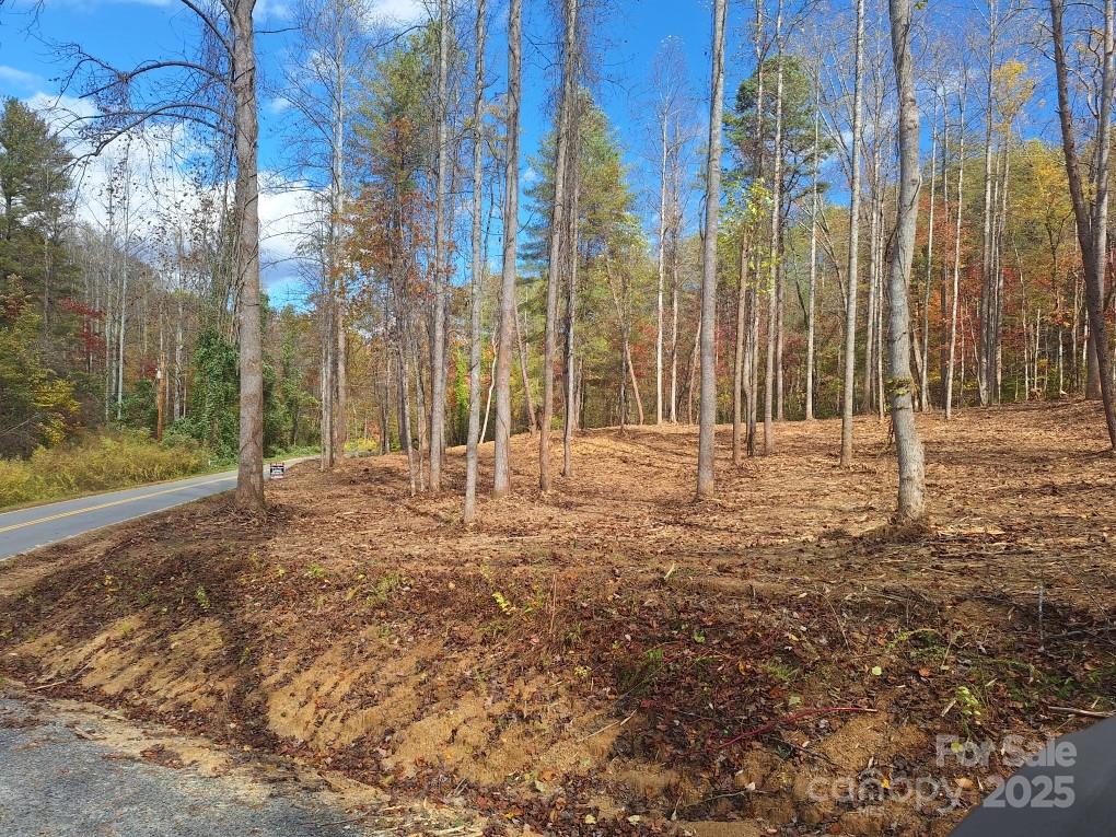 3298 Buffalo Creek Road Property Photo 22