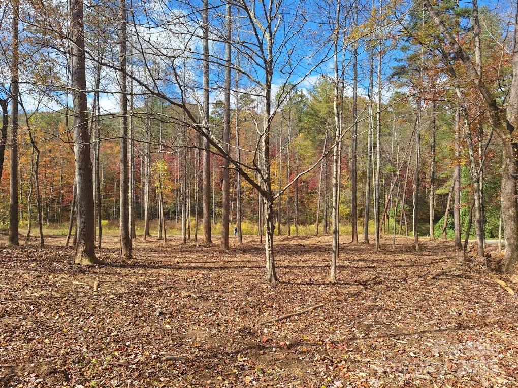 3298 Buffalo Creek Road Property Photo 24