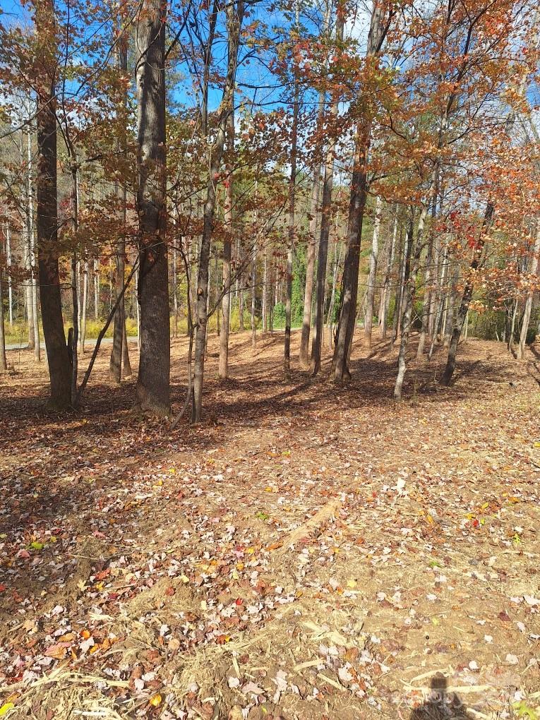 3298 Buffalo Creek Road Property Photo 25
