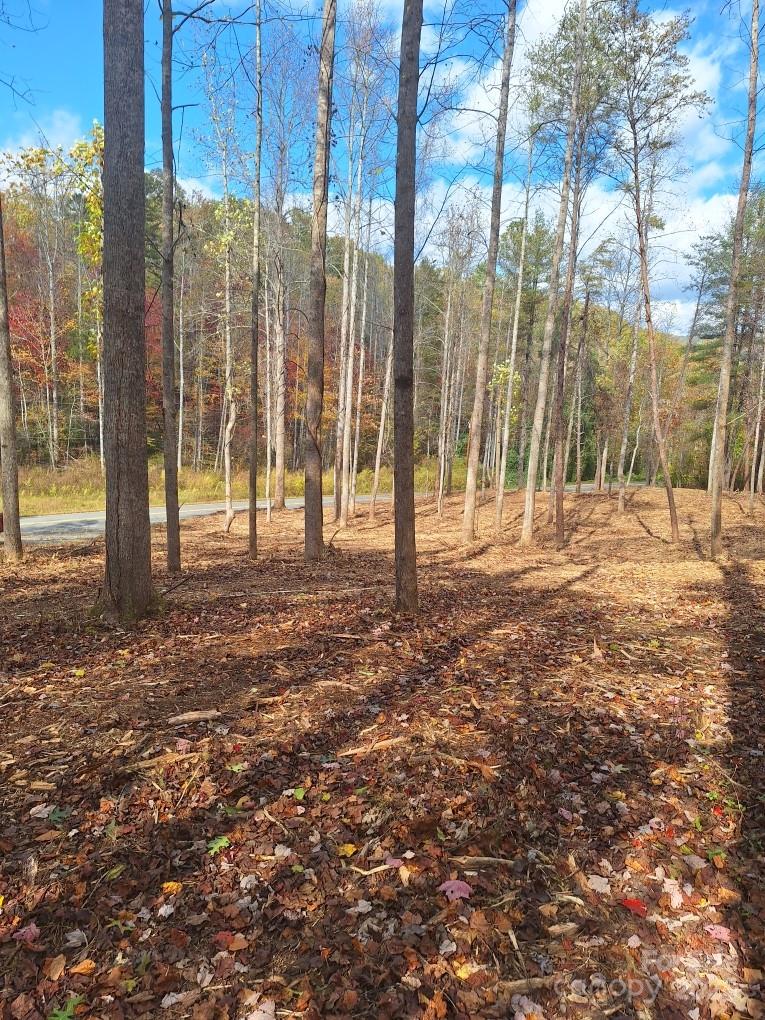 3298 Buffalo Creek Road Property Photo 26