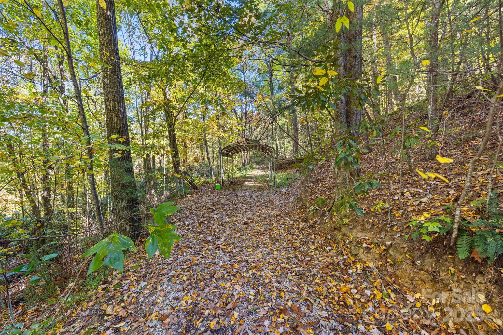1308 Bell Mountain Road Property Photo 35