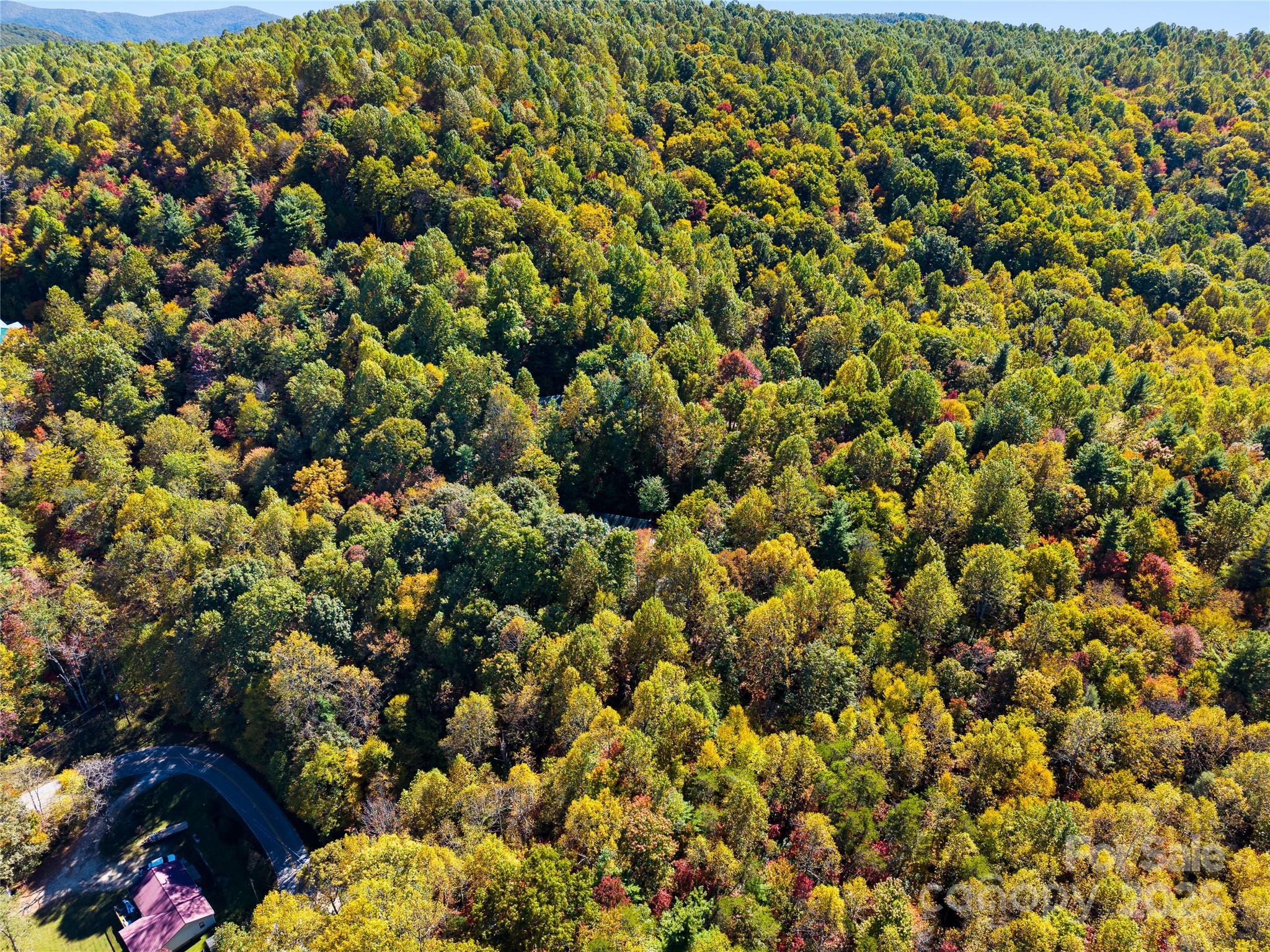 1308 Bell Mountain Road Property Photo 37
