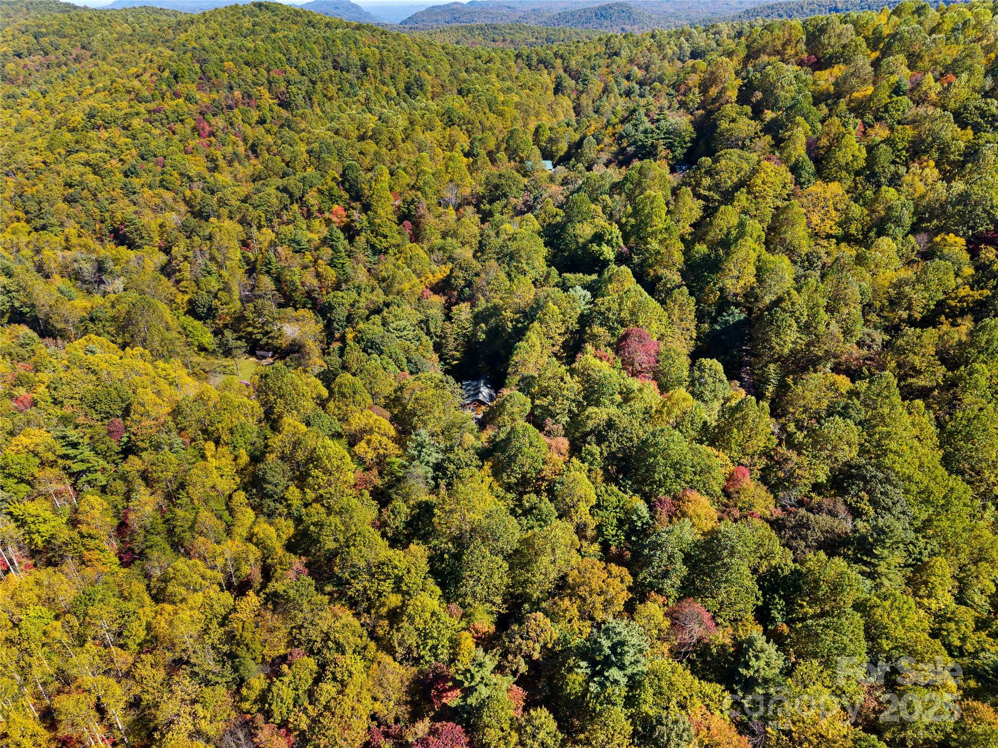 1308 Bell Mountain Road Property Photo 38