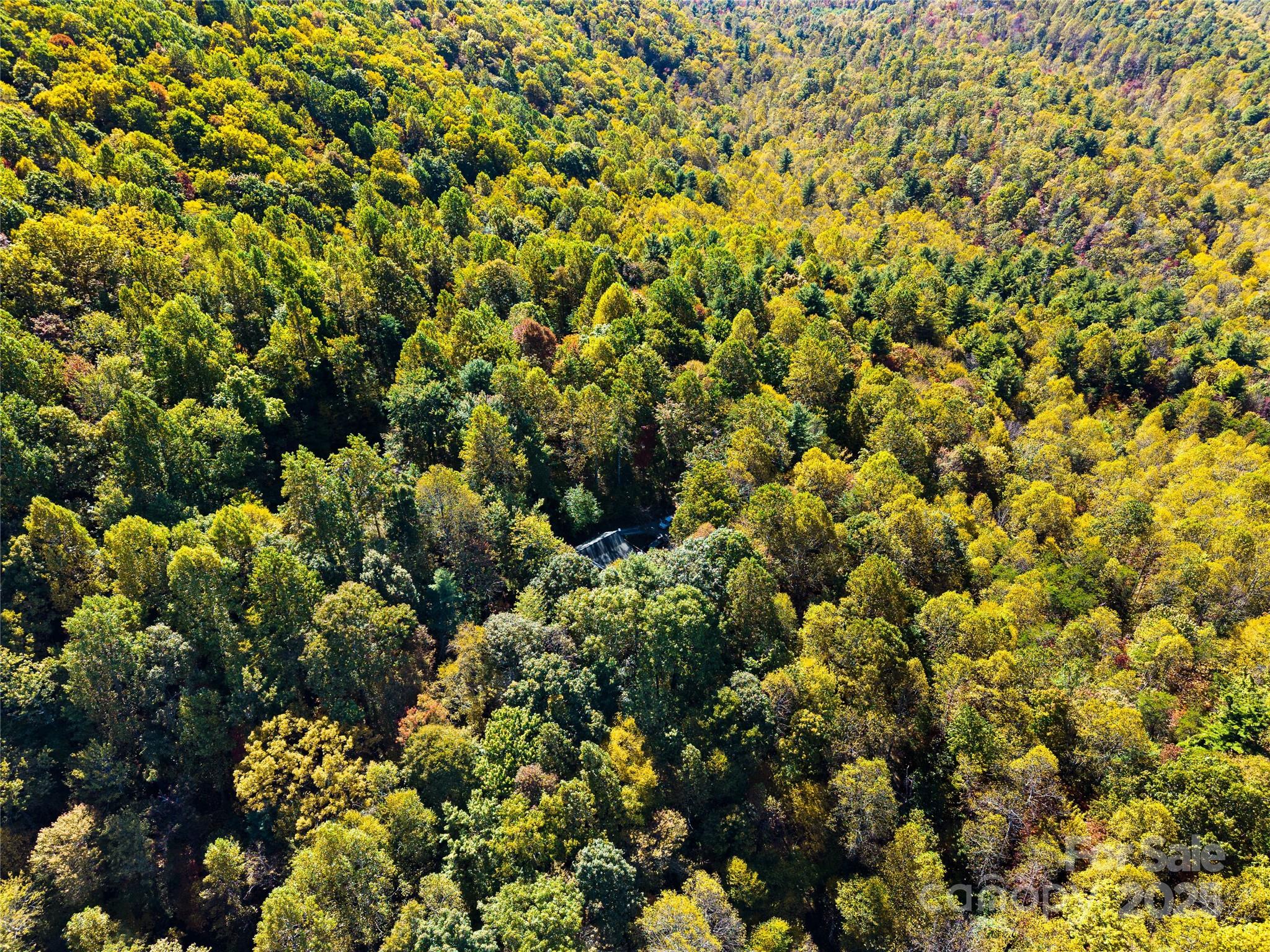 1308 Bell Mountain Road Property Photo 39