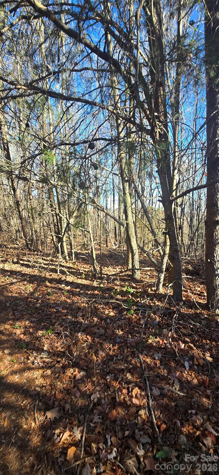 0 Gettys Road Property Photo 3