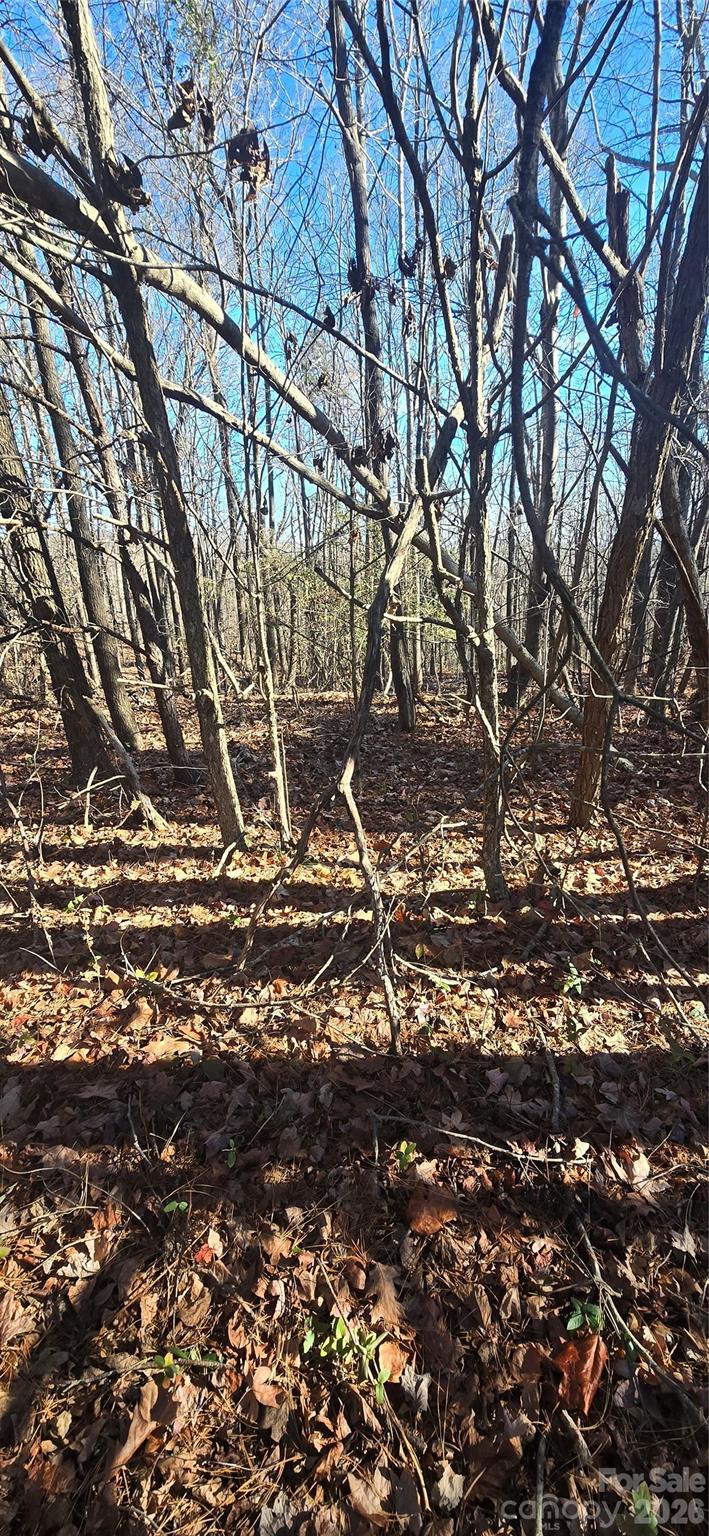 0 Gettys Road Property Photo 4