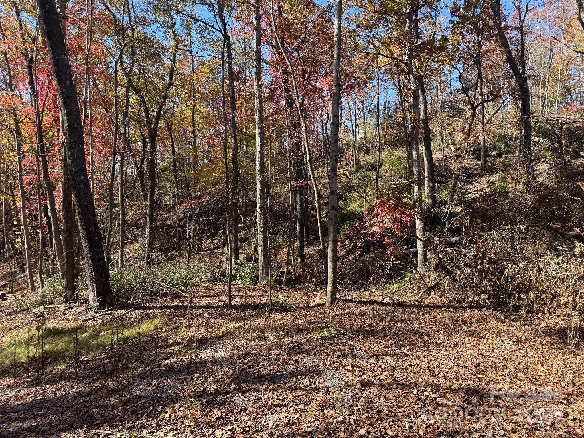 00 Normcol Road Property Photo 3