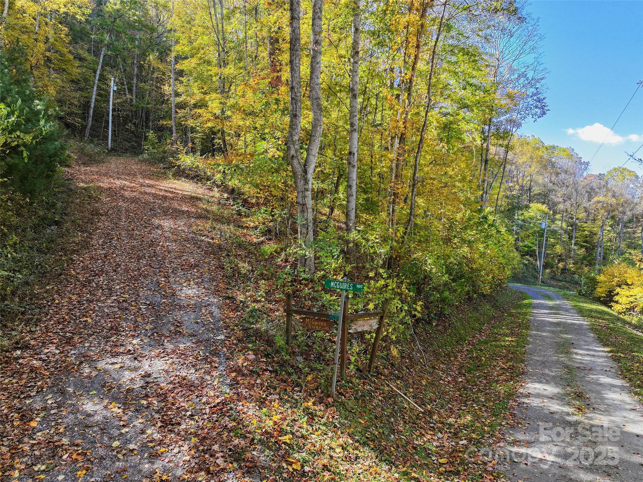 Lot 316 Mcguires Ridge 316 Property Photo 1