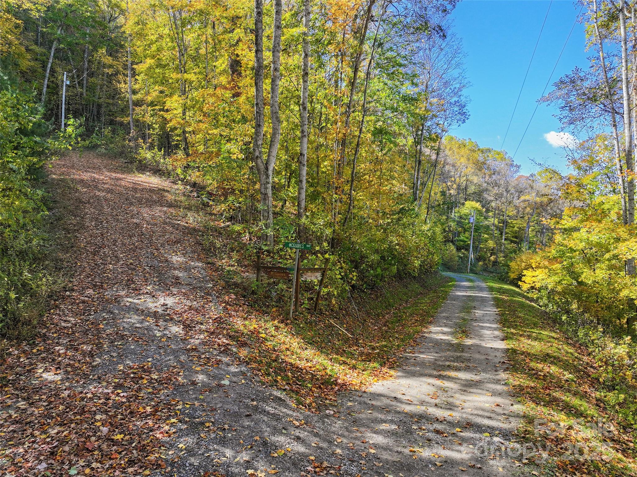 Lot 316 Mcguires Ridge 316 Property Photo 2