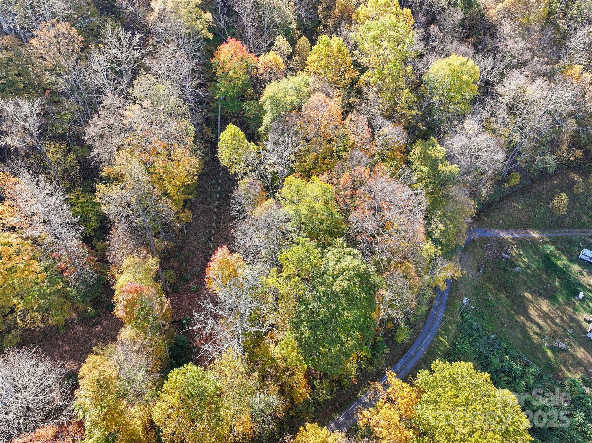Lot 316 Mcguires Ridge 316 Property Photo 3