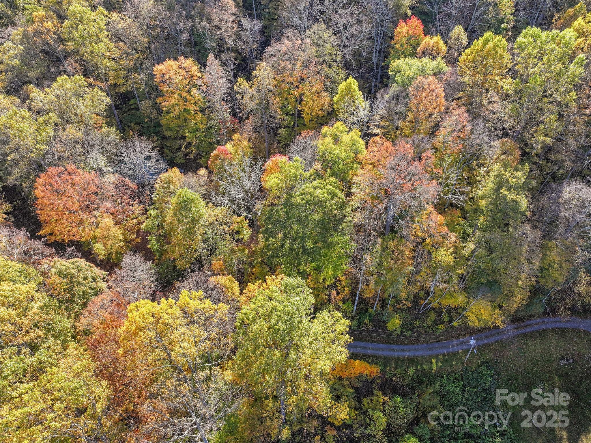 Lot 316 Mcguires Ridge 316 Property Photo 4