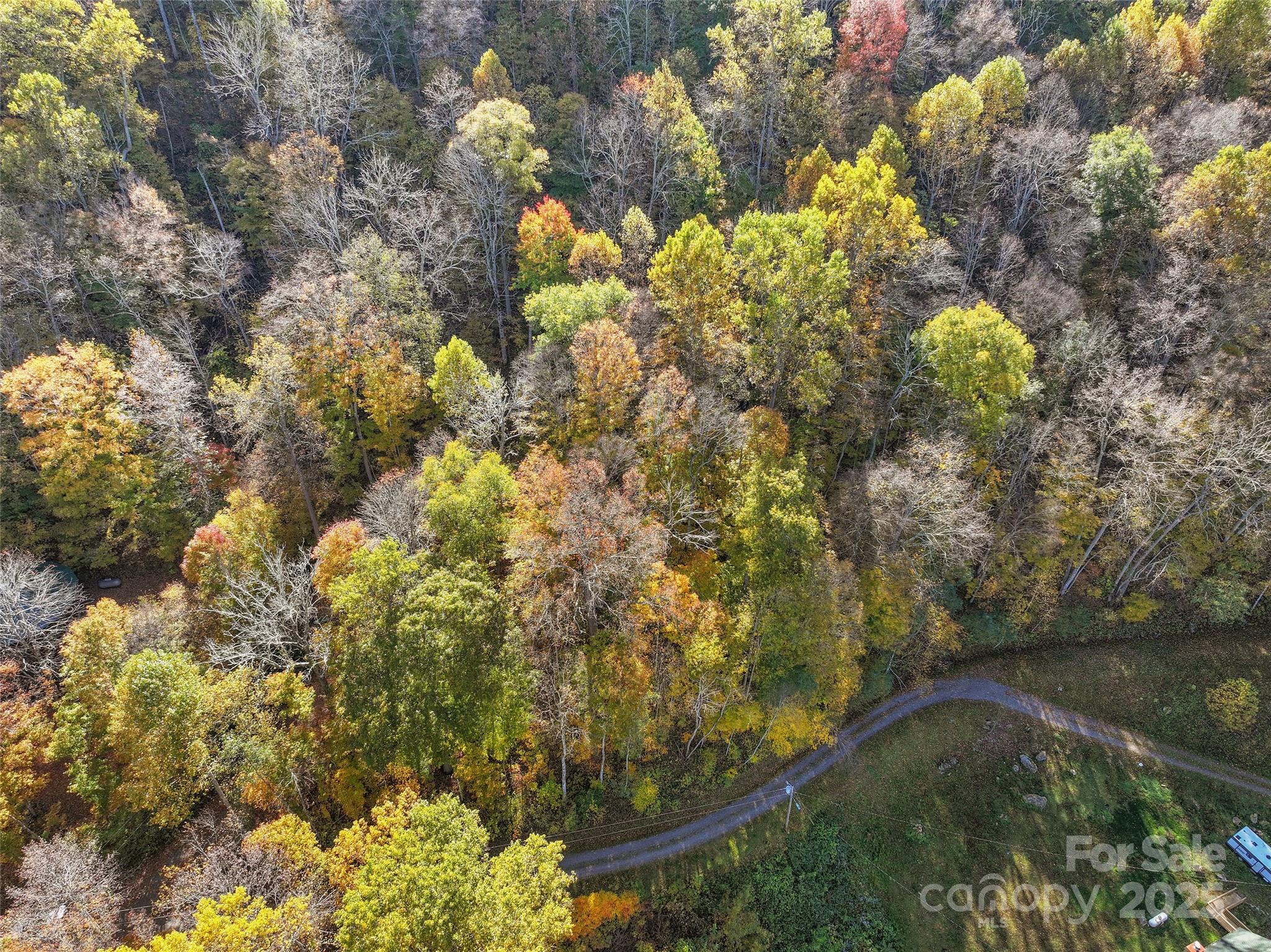 Lot 316 Mcguires Ridge 316 Property Photo 5