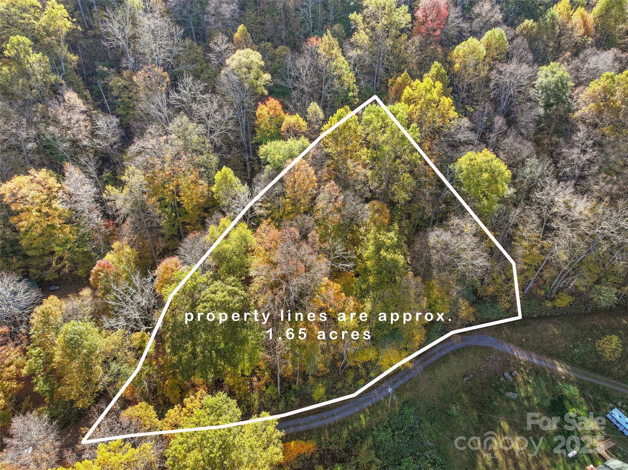 Lot 316 Mcguires Ridge 316 Property Photo 6